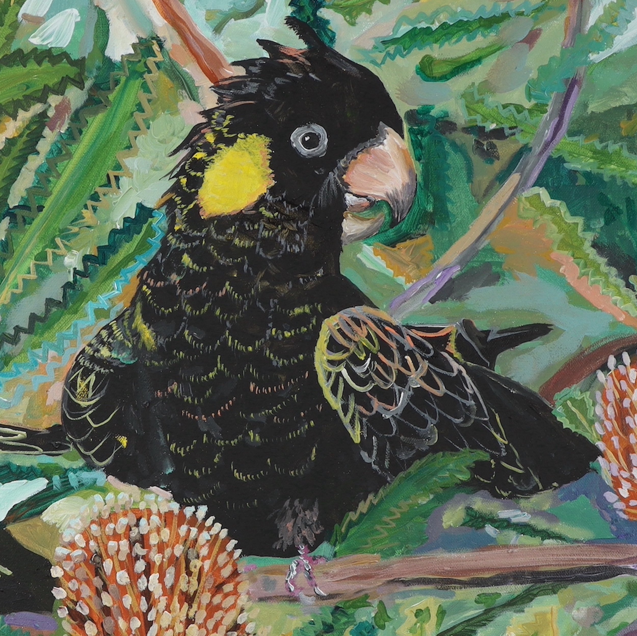 Original Artwork by Rachel Rae Art Black Cockatoos in the Banksias Closeup