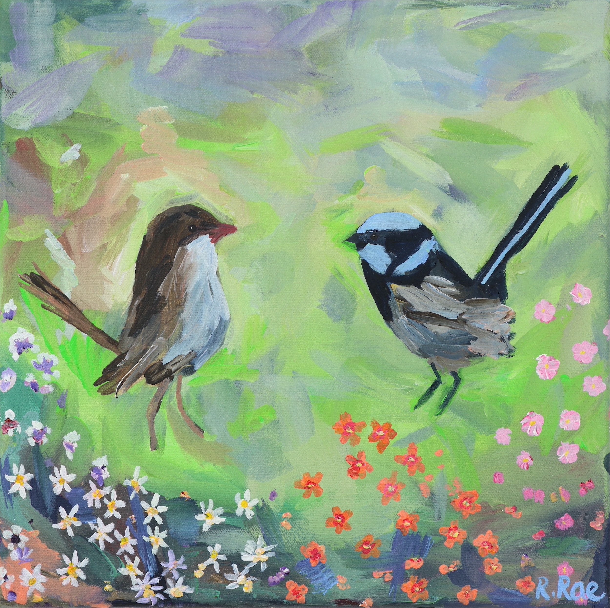 Superb Blue Wrens in the Wildflowers original painting by Australian Artist Rachel Rae.