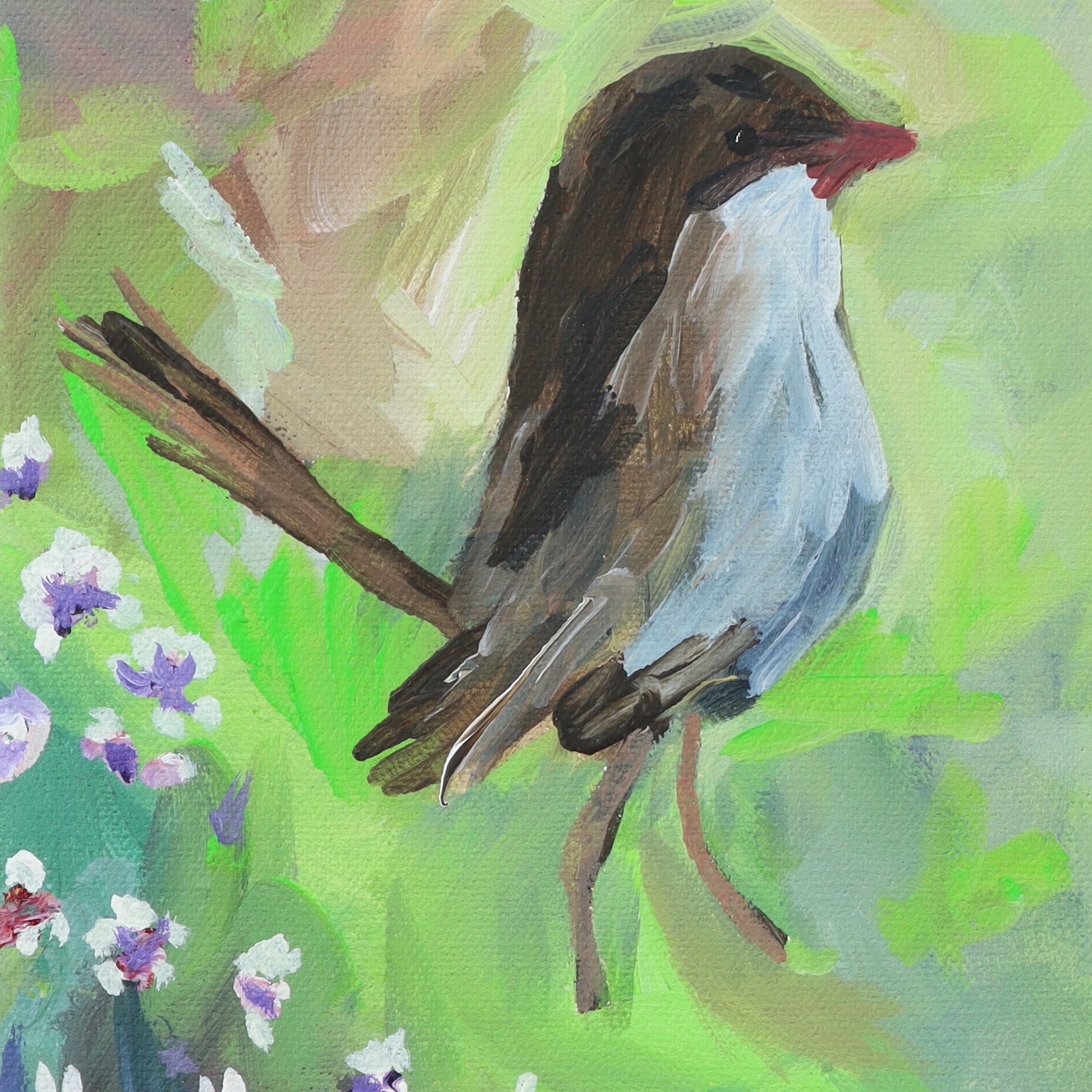 Superb Blue Wrens in the Wildflowers original painting by Australian Artist Rachel Rae.