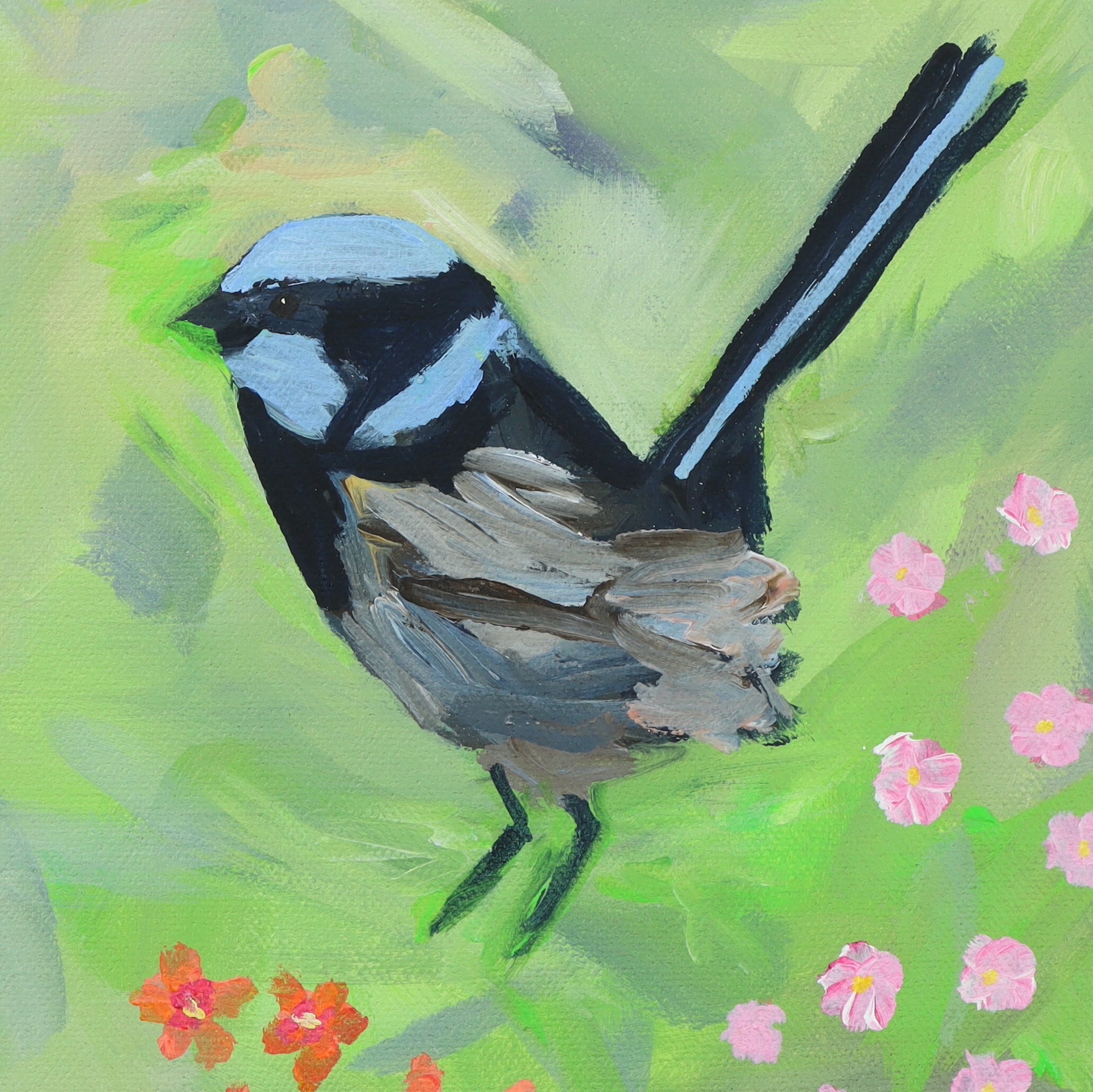 Superb Blue Wrens in the Wildflowers original painting by Australian Artist Rachel Rae.
