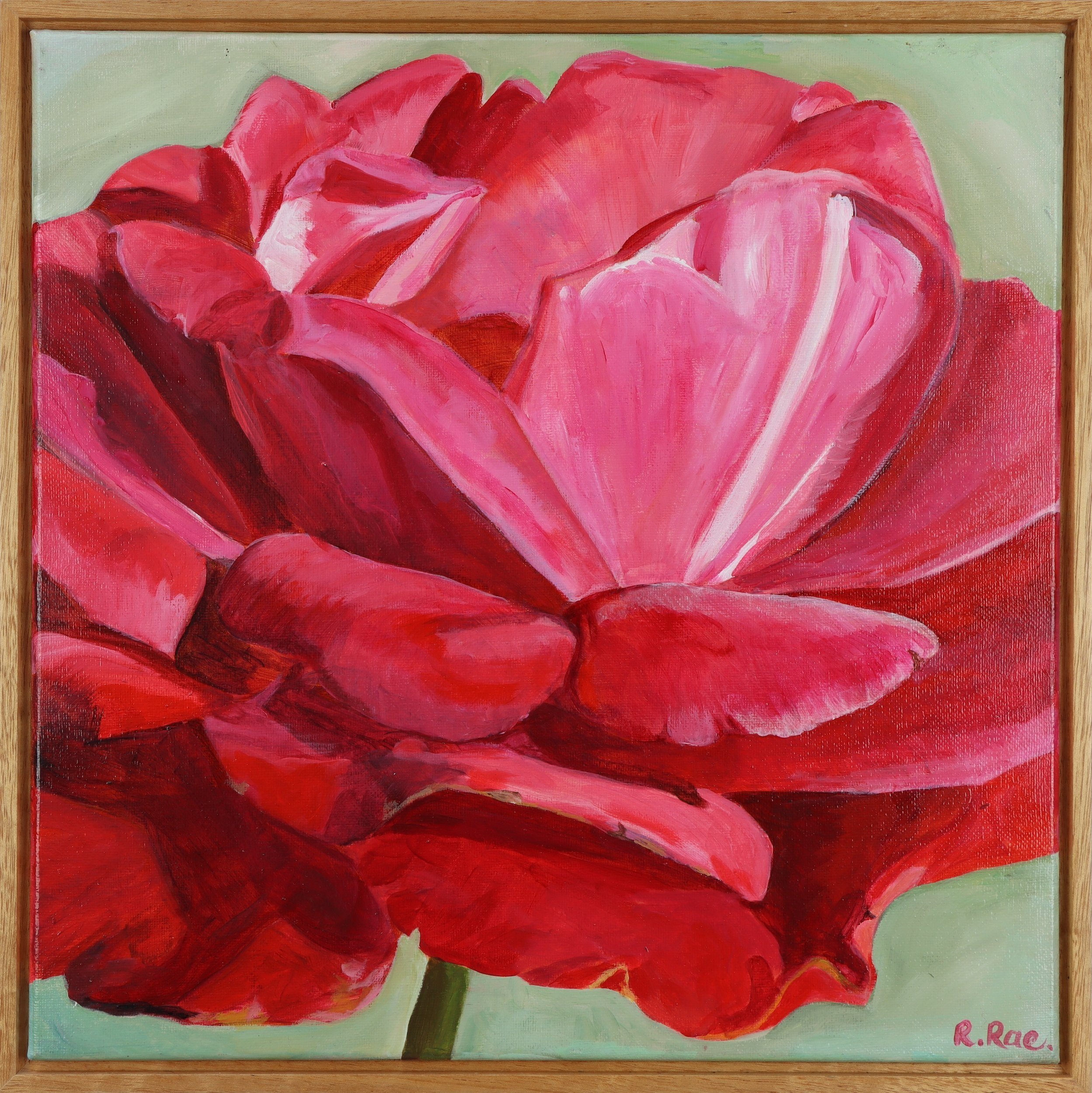 Rachel Rae Original Painting Artwork Pink Rose