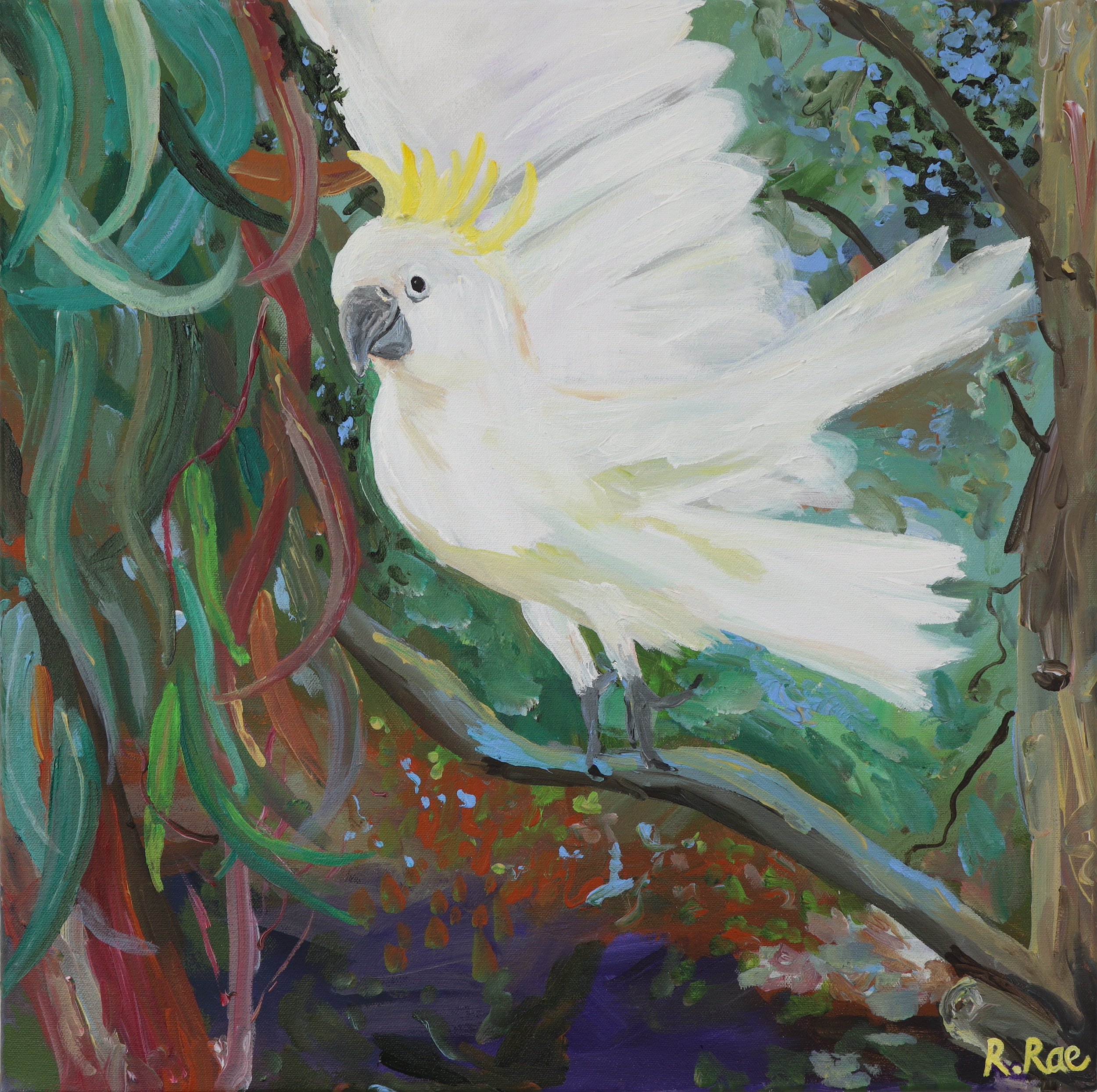 Sulphur Crested White Cockatoo in the Gumtree Original Art Painting Rachel Rae