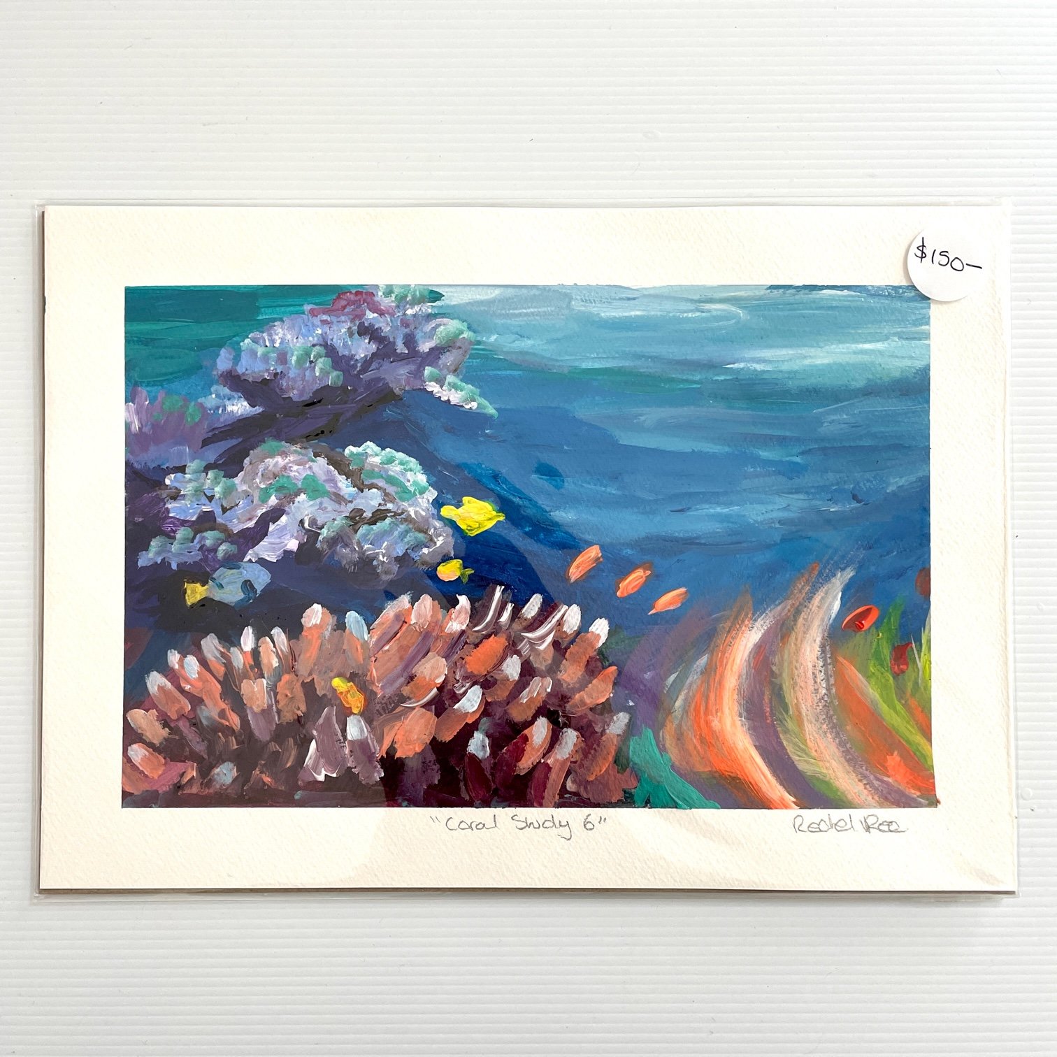 Coral Study #6
