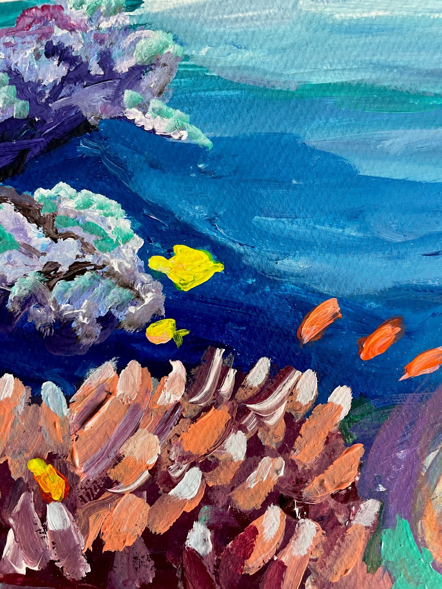 Coral study 6 CU.jpg