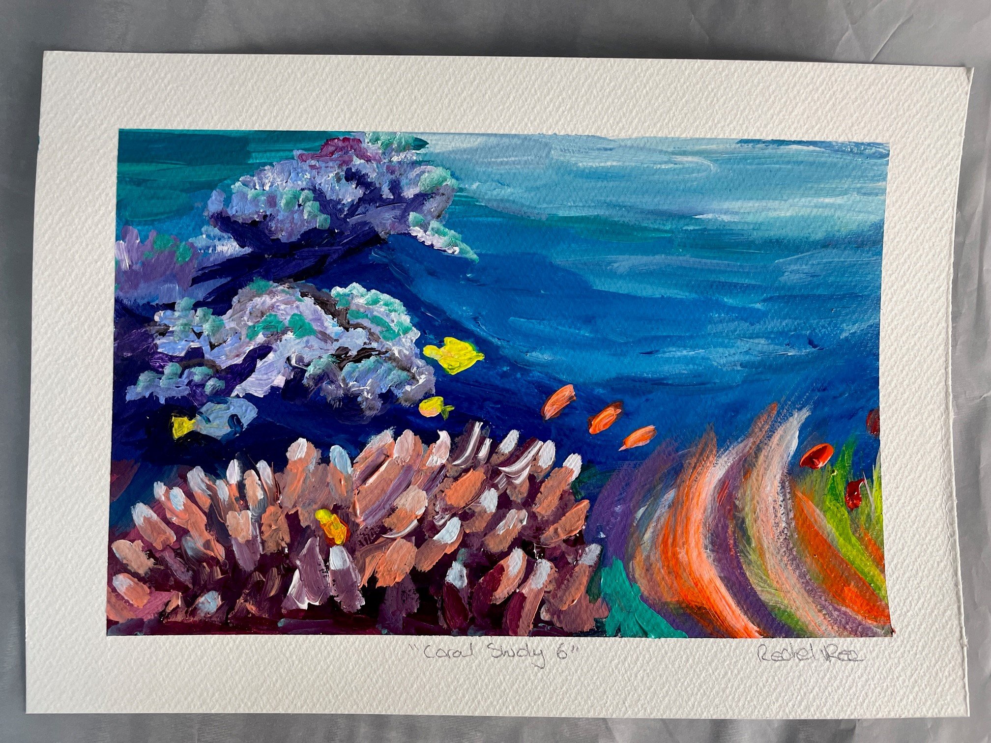 coral study 6 sq.jpg