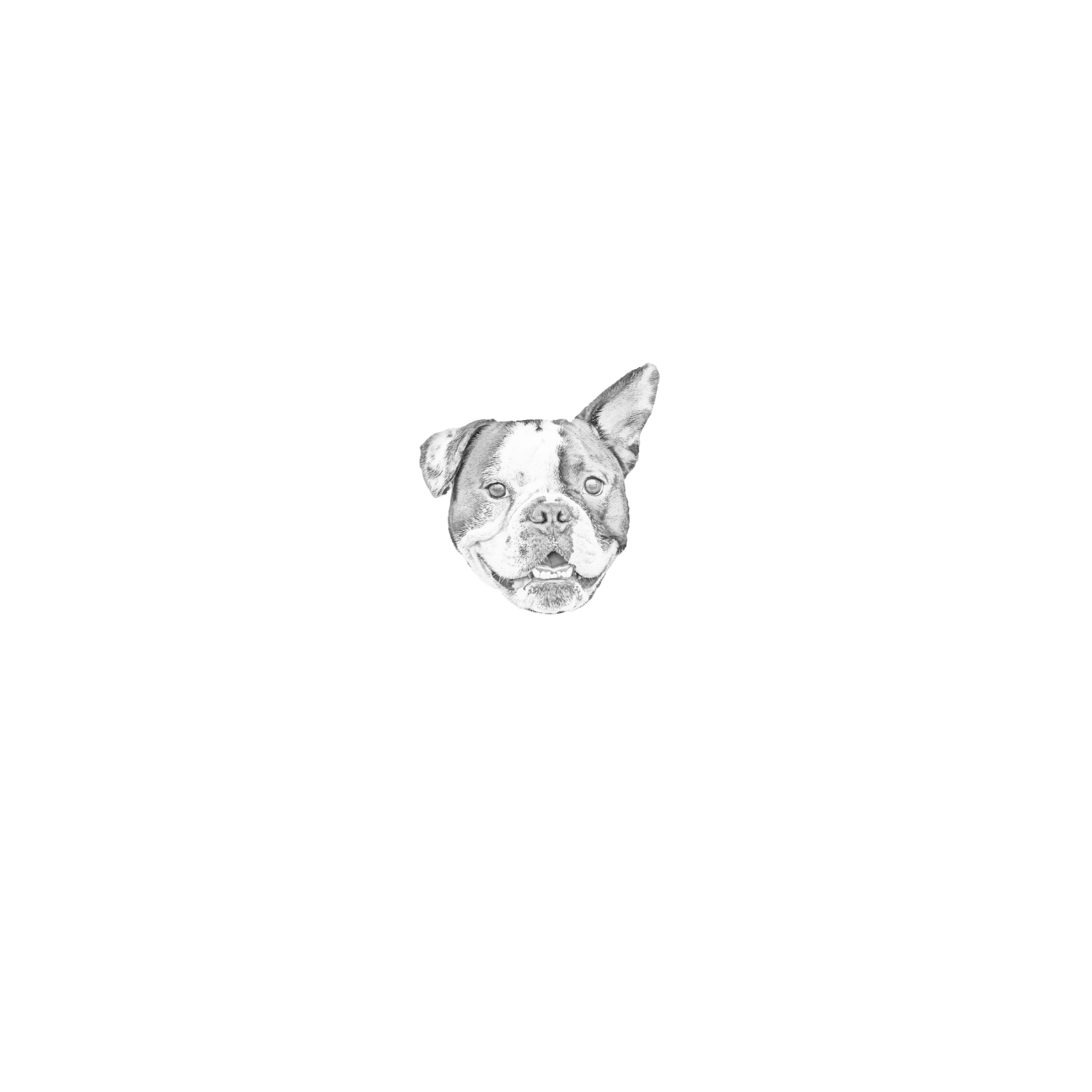 Bill Piper Photography