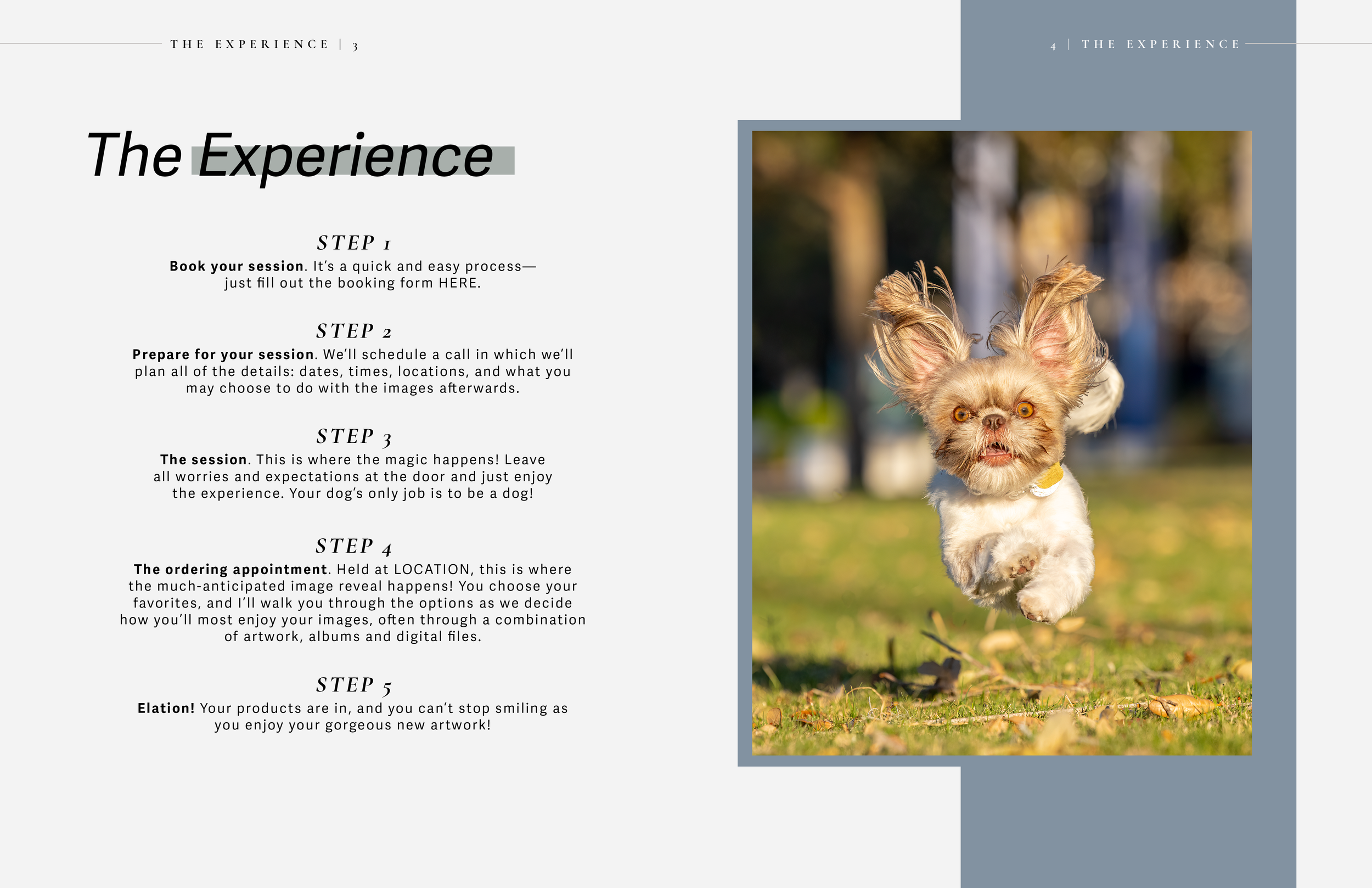 Inquiry Guide Double Page Spread_03.png