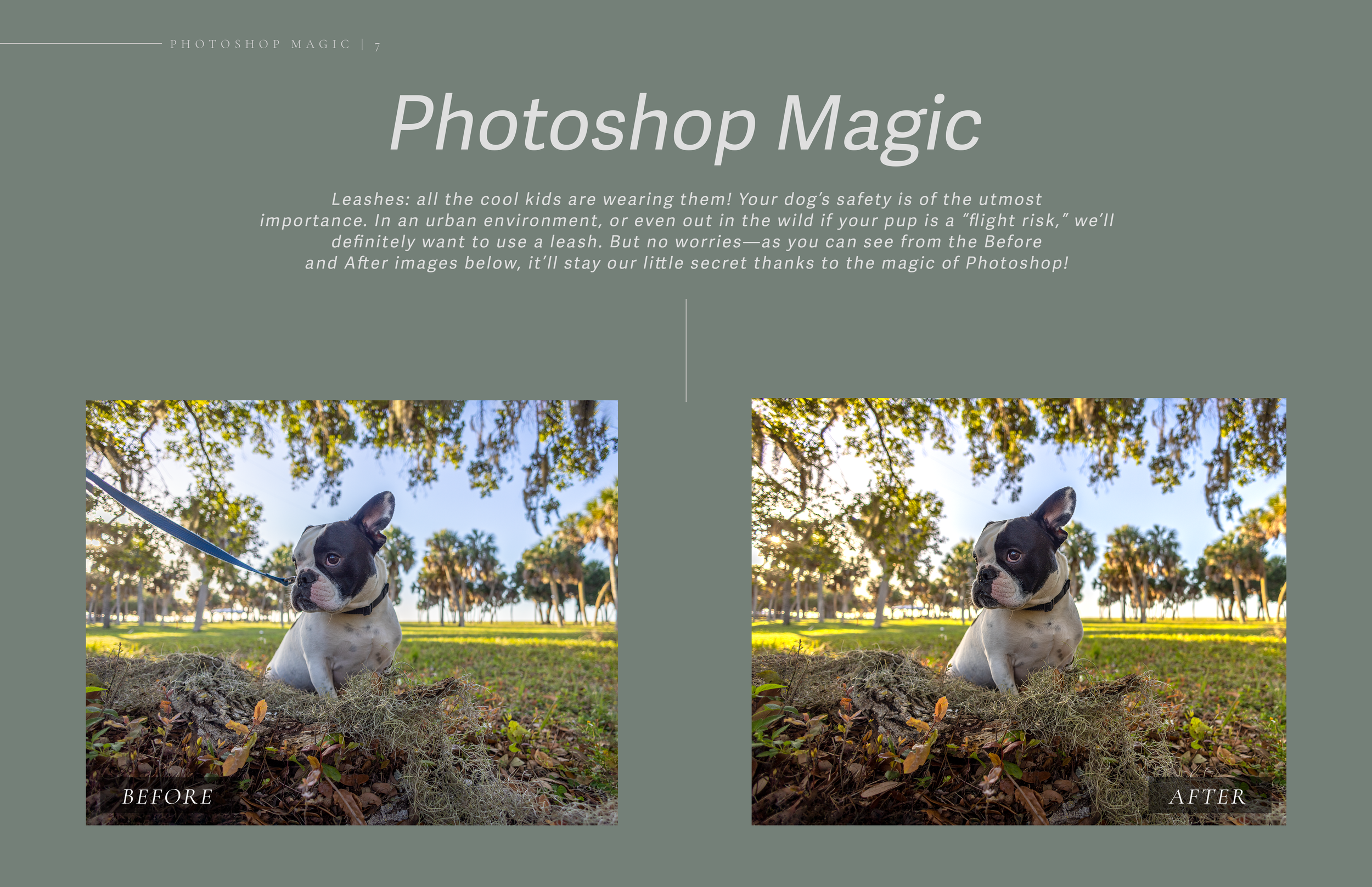 Inquiry Guide Double Page Spread_05.png