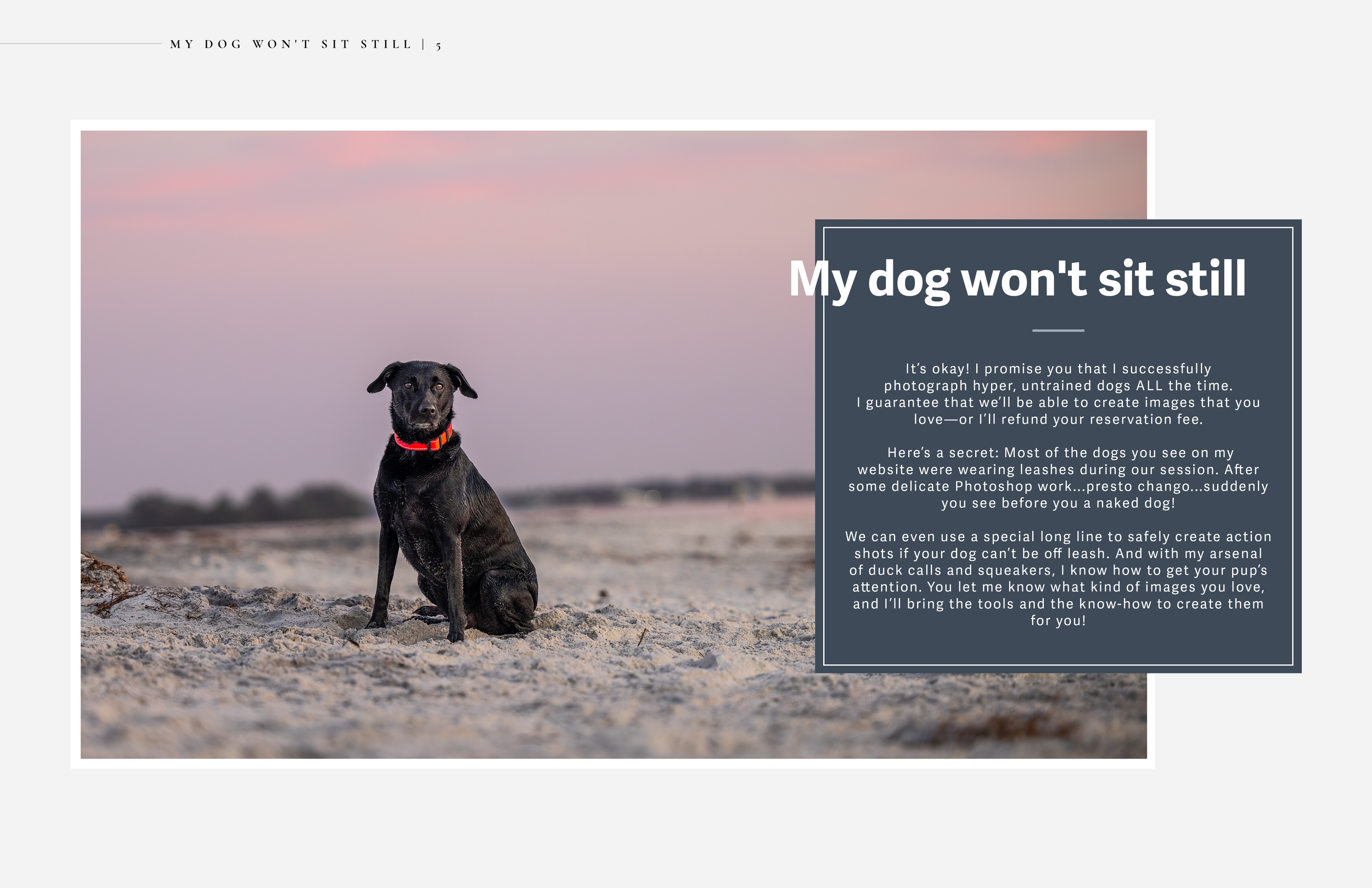 Inquiry Guide Double Page Spread_04.png