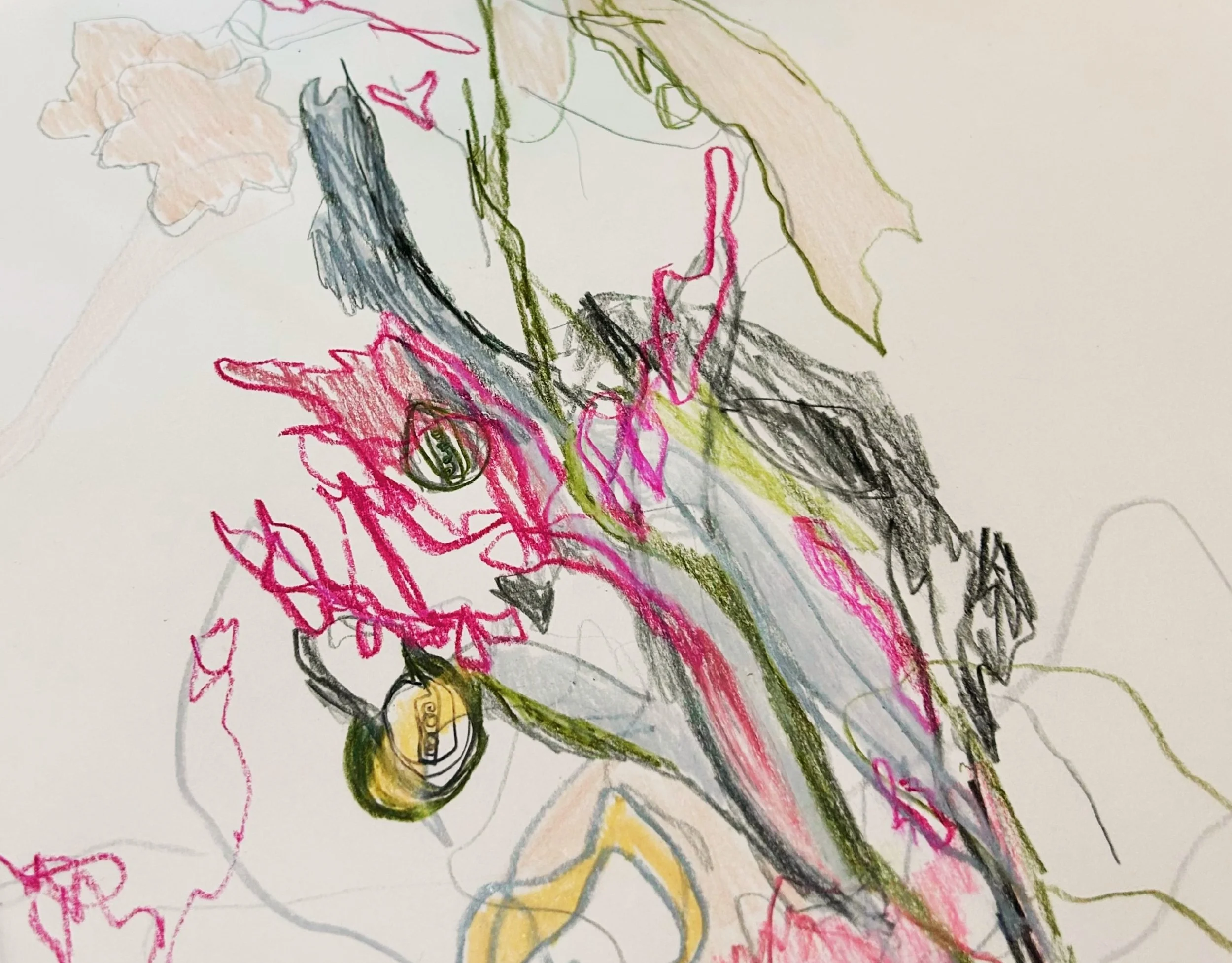EMMA O'ROURKE DRAWING HOUR.jpg