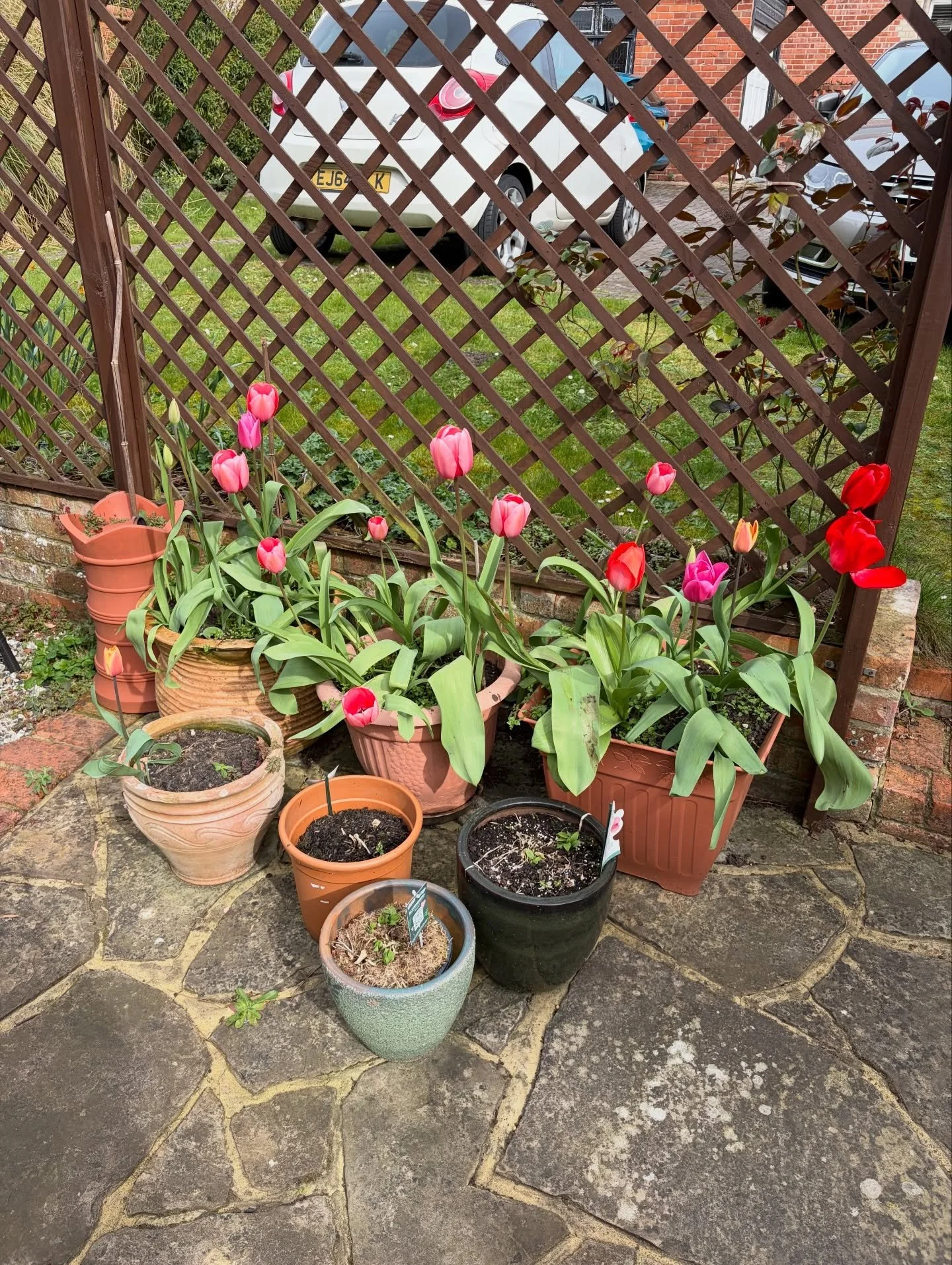 Between translations and deadlines, I find my balance in the simple things 🌷

My days are shared between translation projects, quiet moments in nature, and hours dedicated to research for my PhD in Applied Linguistics in French. Each of these has it