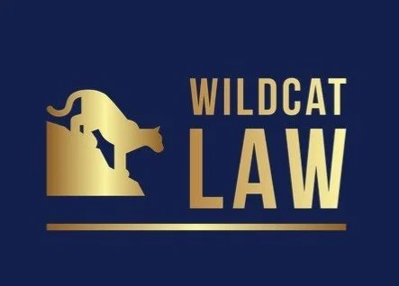 65758c8f4dcc0123754a4320_wildcat_law_cover.jpg