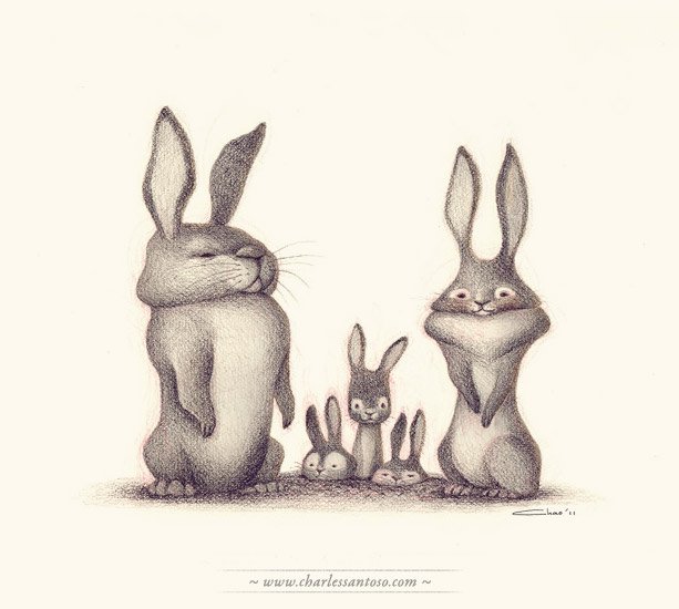 rabbit_family_charlessantoso.jpg