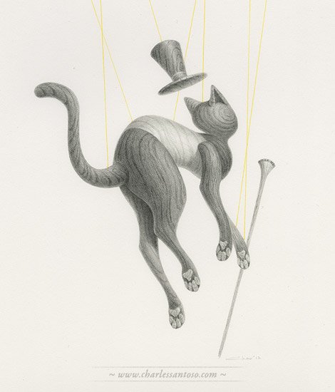 06_the_cat.jpg