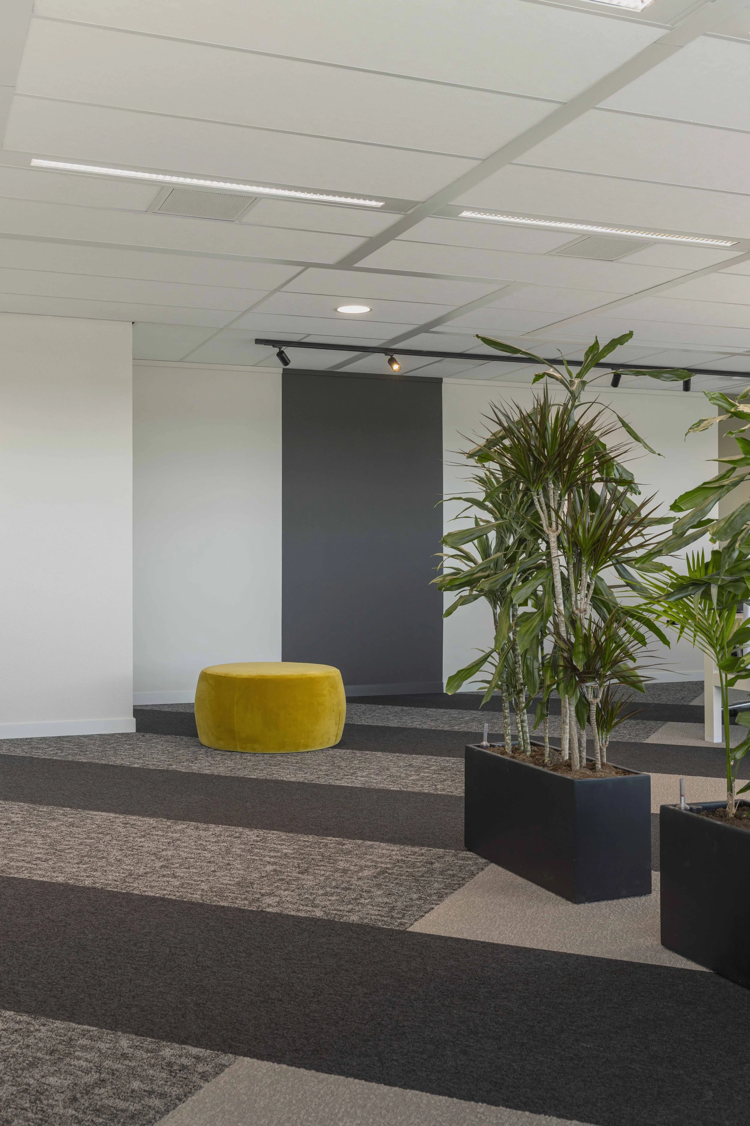 Tapijtpatroon doorlopend op wand