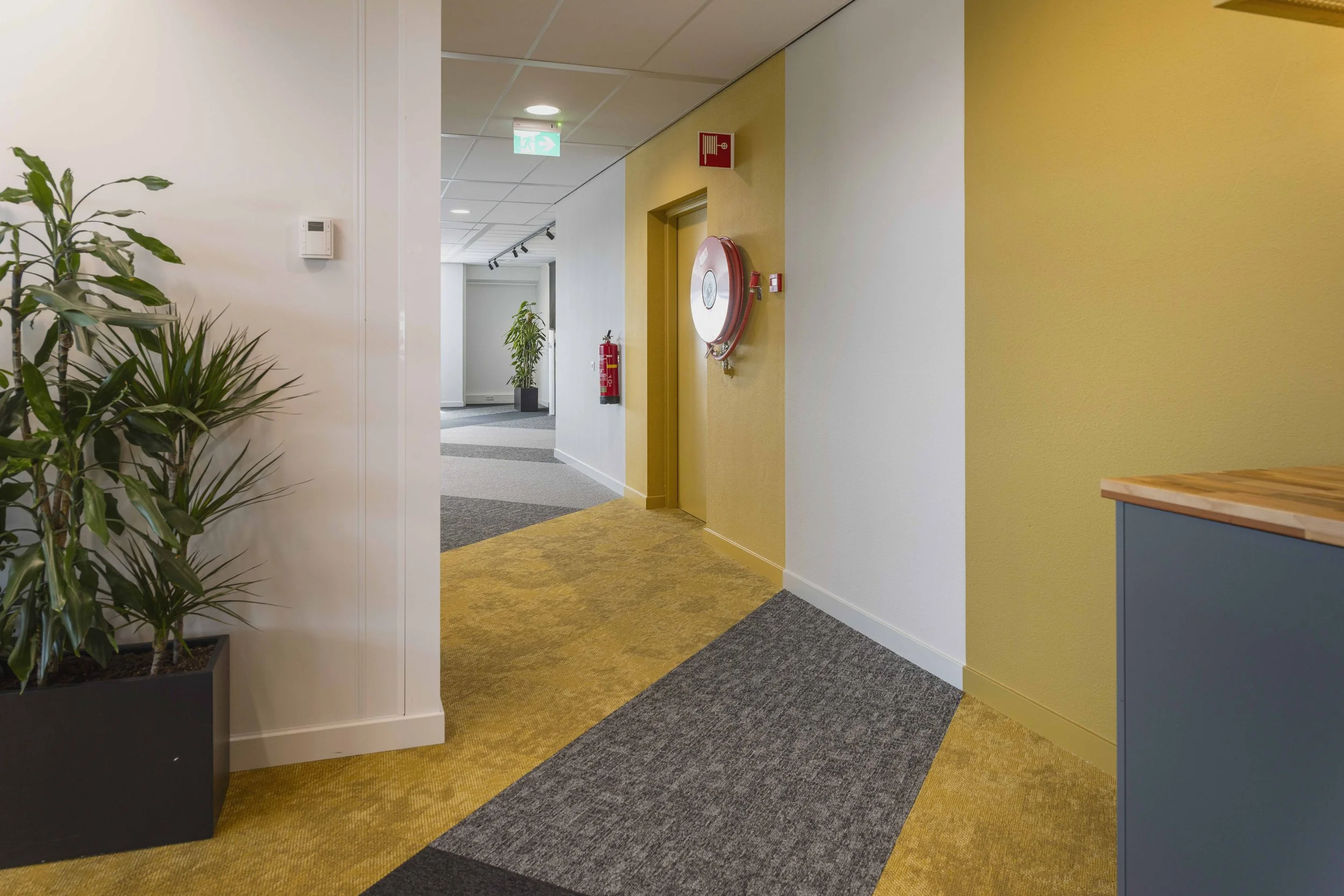 © STUDIO_STERKENBURG_OBOROS_QWELLO_DSC2174.jpg