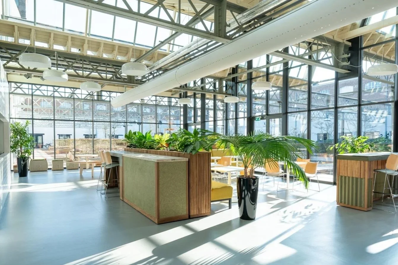 Duurzaam kantoorontwerp met circulaire materialen en karaktervolle inrichting