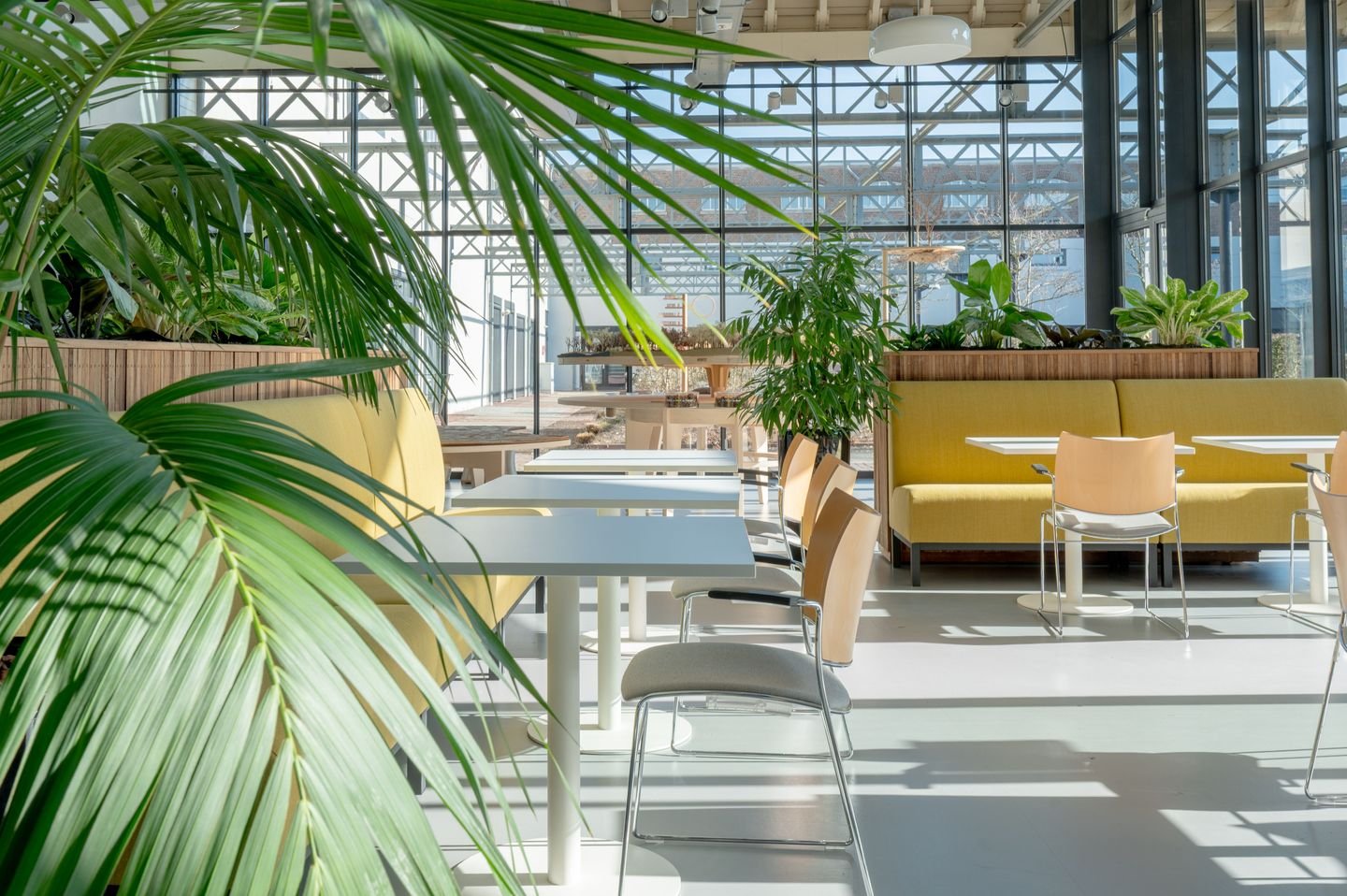 Circulair kantoorontwerp & zero waste interieur | Wonion