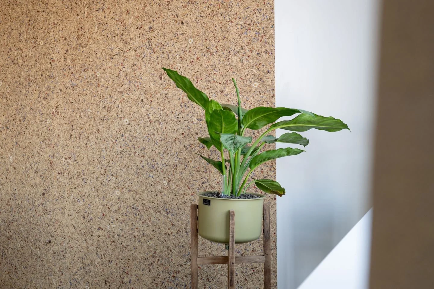 Plantenpot van afval voor biobased bloemetjes behang