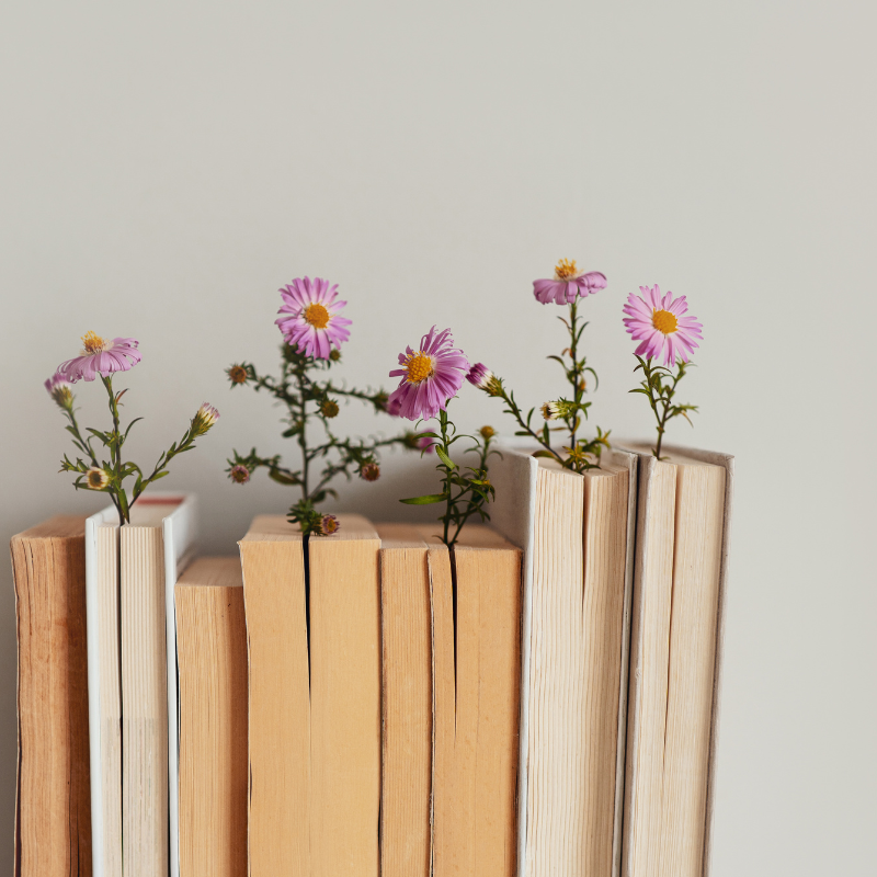 Le plein de nouveautés : notre sélection de printemps est arrivée !