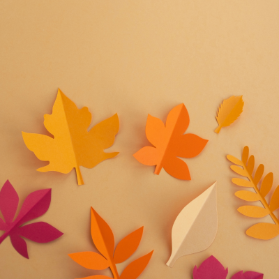 Rentrée littéraire : 6 nouveautés coup de coeur