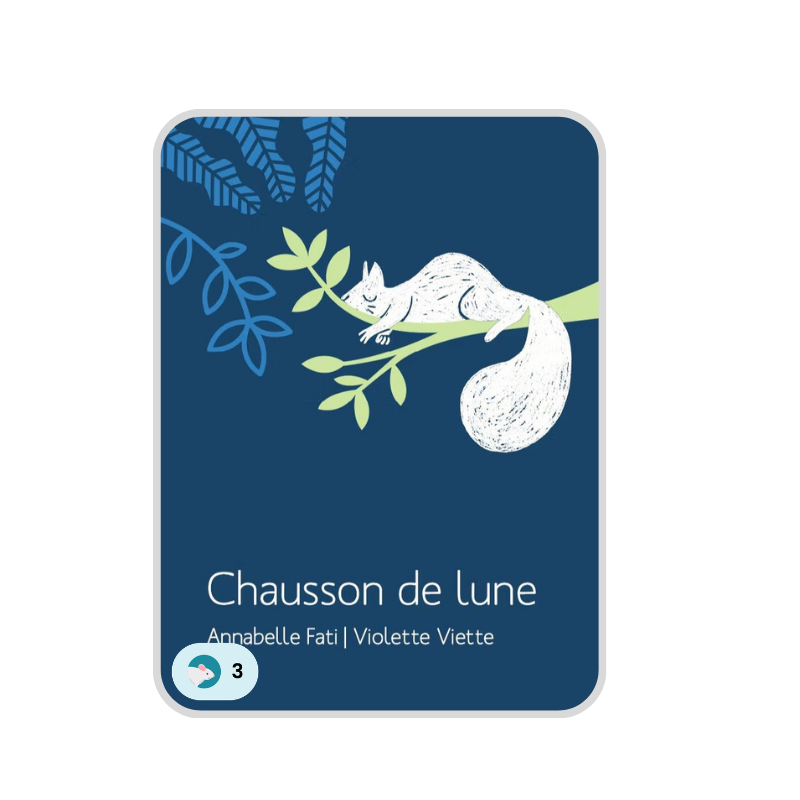 Chausson de lune.png