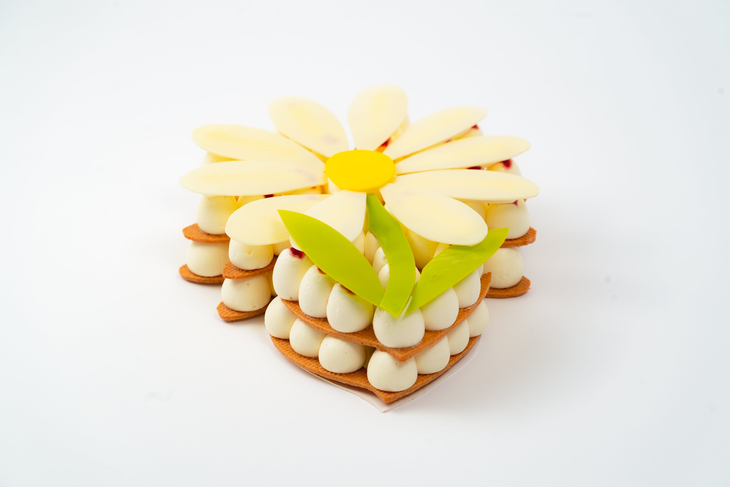 Pâquerette