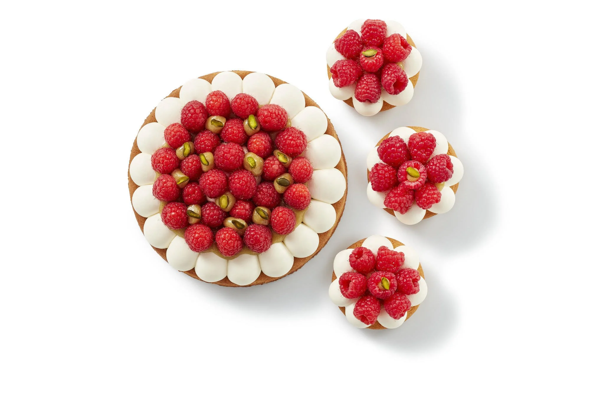Gâteau rond décoré de crème, de framboises, de pistaches, avec trois cupcakes aux framboises autour, sur fond blanc.