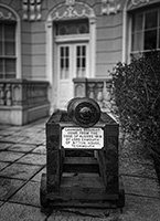 Cannon