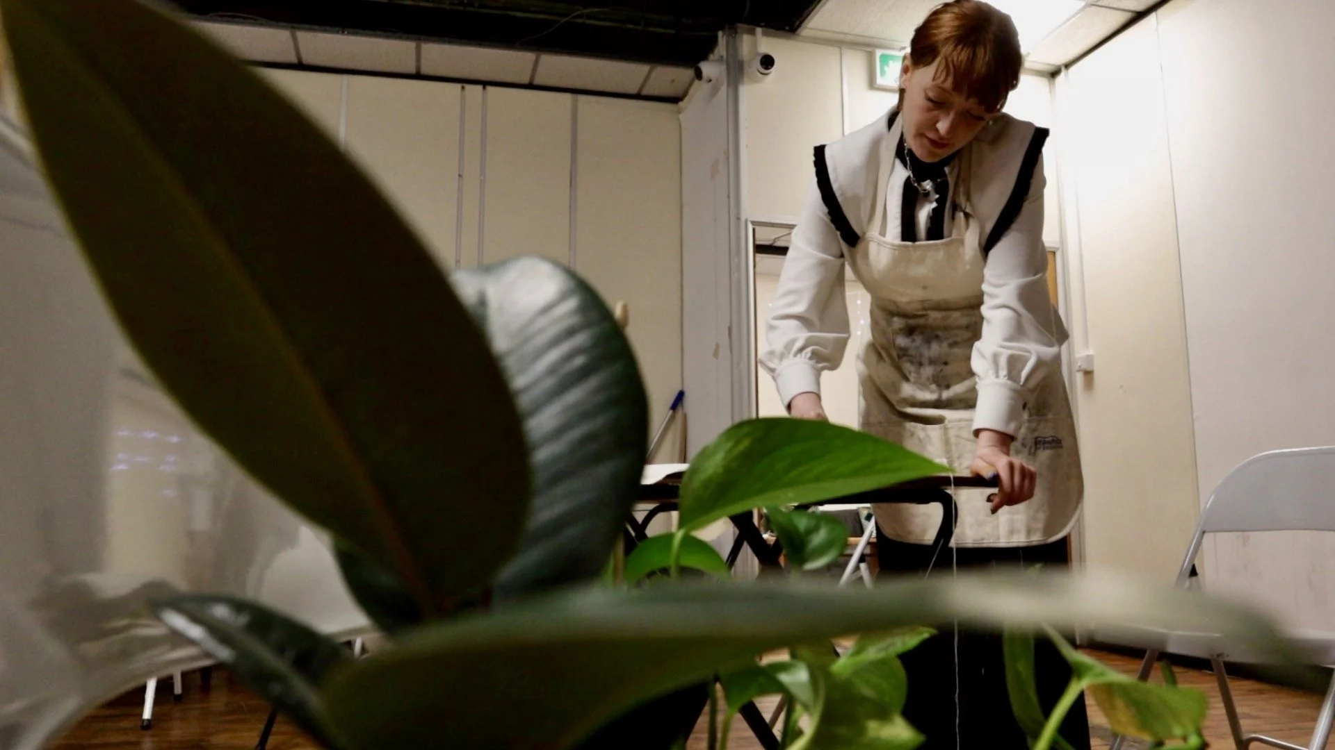 Sugar Stealers Image 96.jpeg