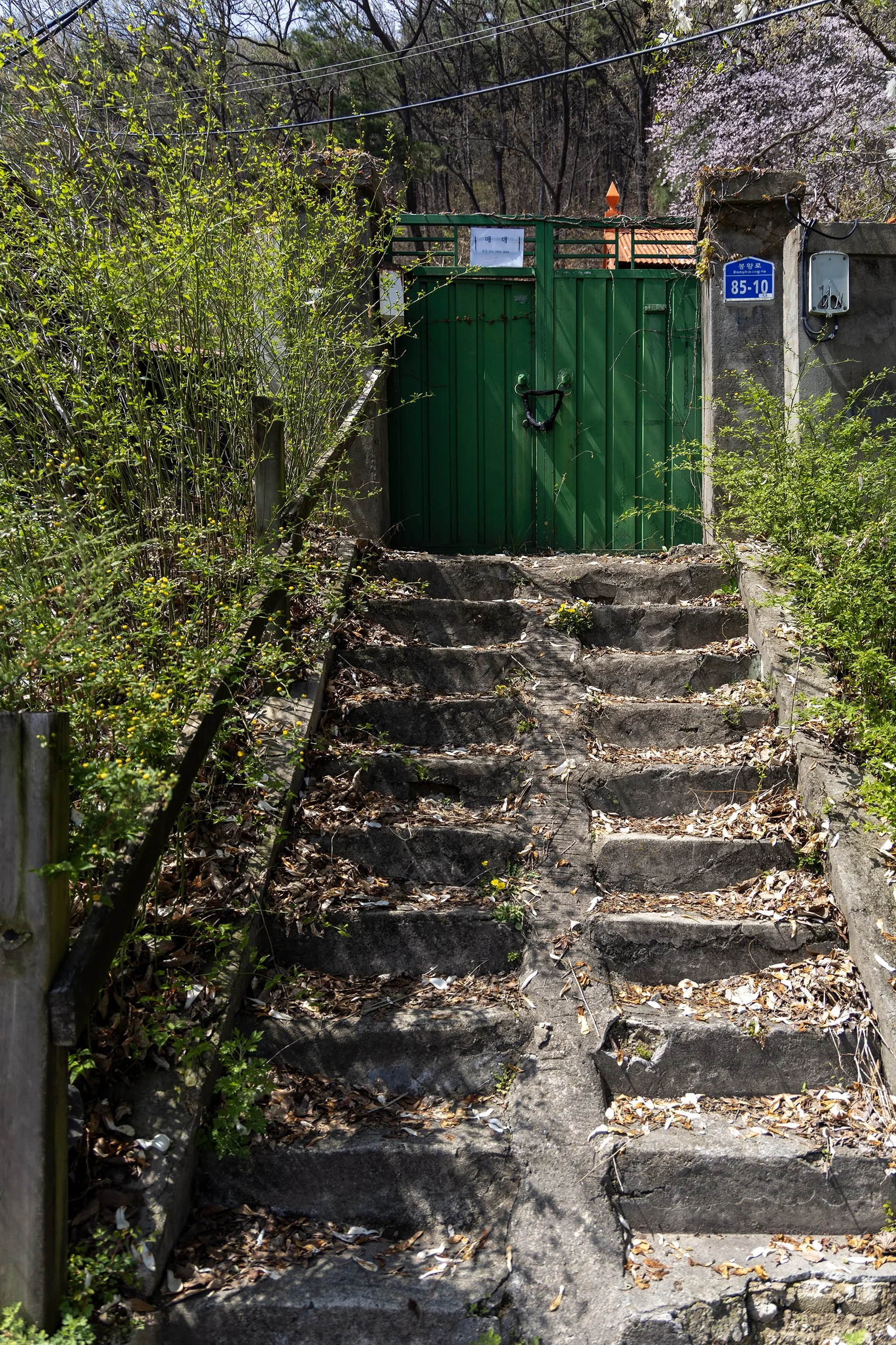 The Gongju Archive 2026 09.jpg