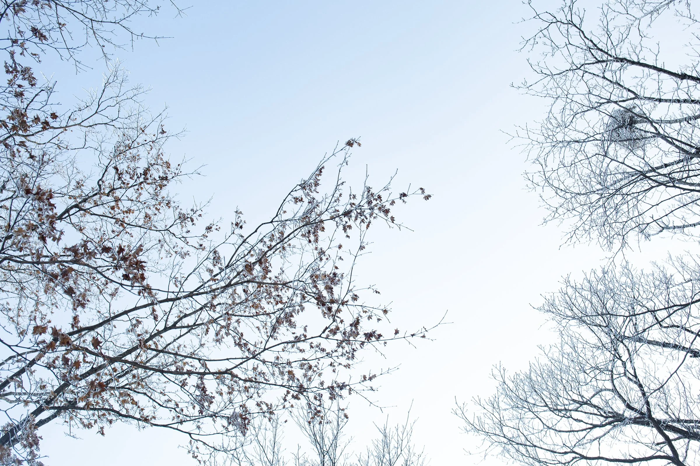 Frozen World 03 copy.jpg