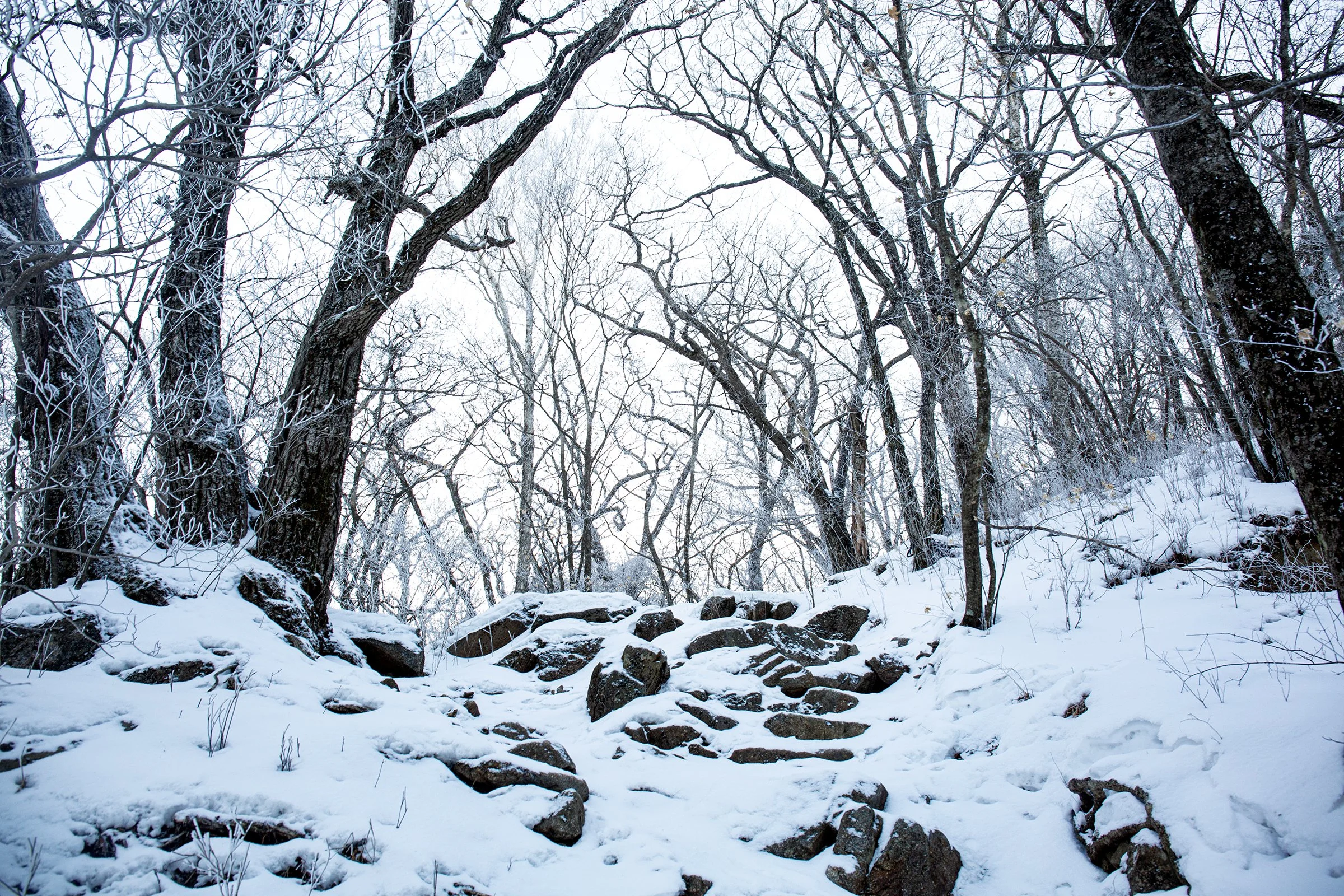 Frozen World 05 copy.jpg