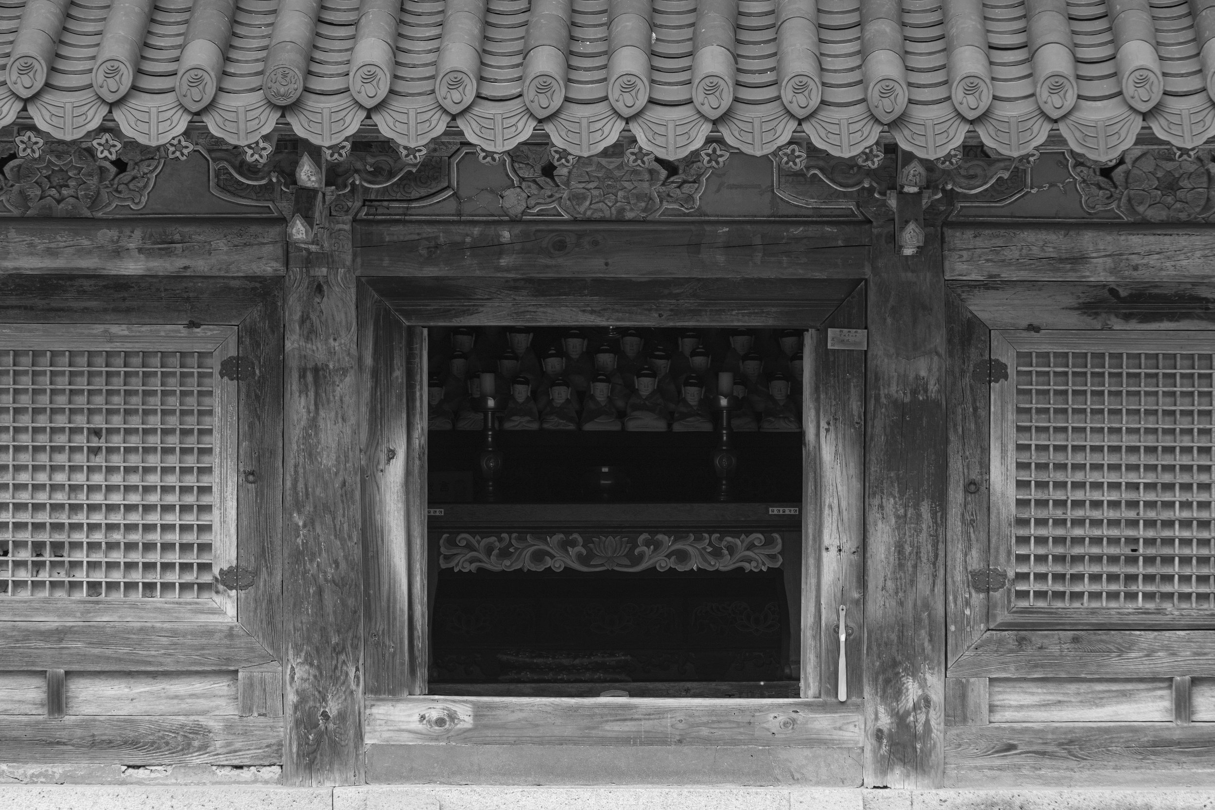 KakaoTalk_Image_2023-04-06-16-34-56_005.jpeg