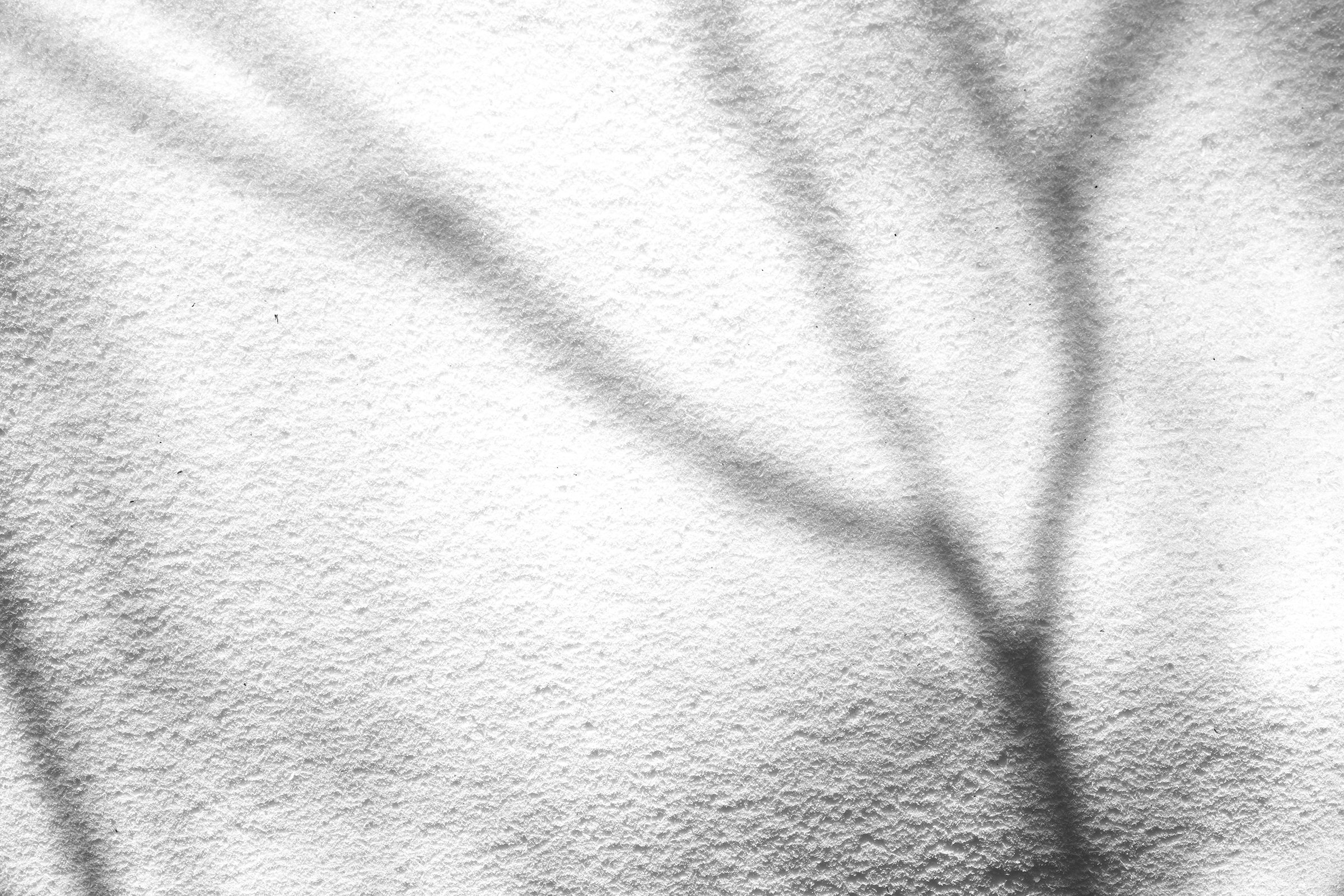 Pencil of Nature 04 copy.jpg