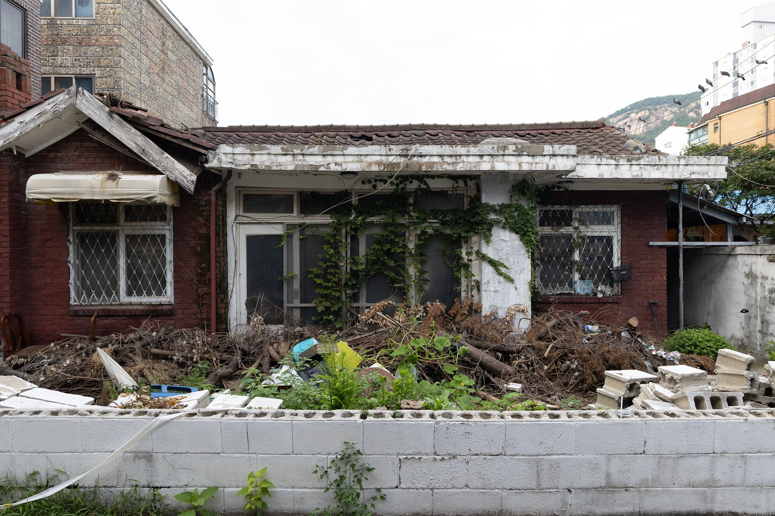 05 Ecological Succession 10.jpg