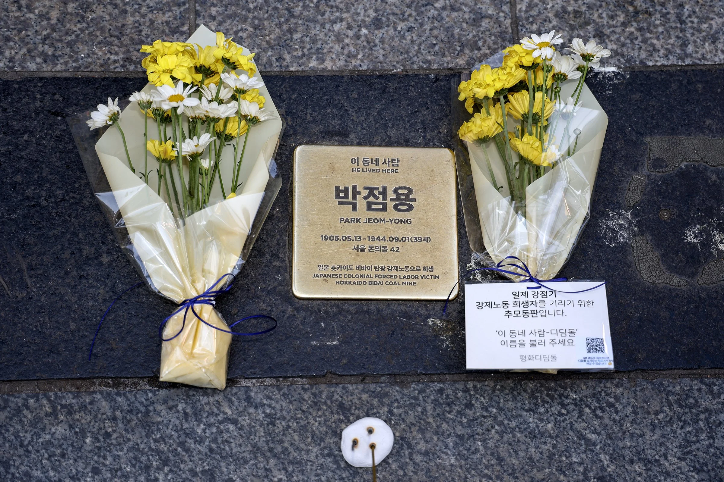 Stepping Stone for Peace 2026_13.jpg