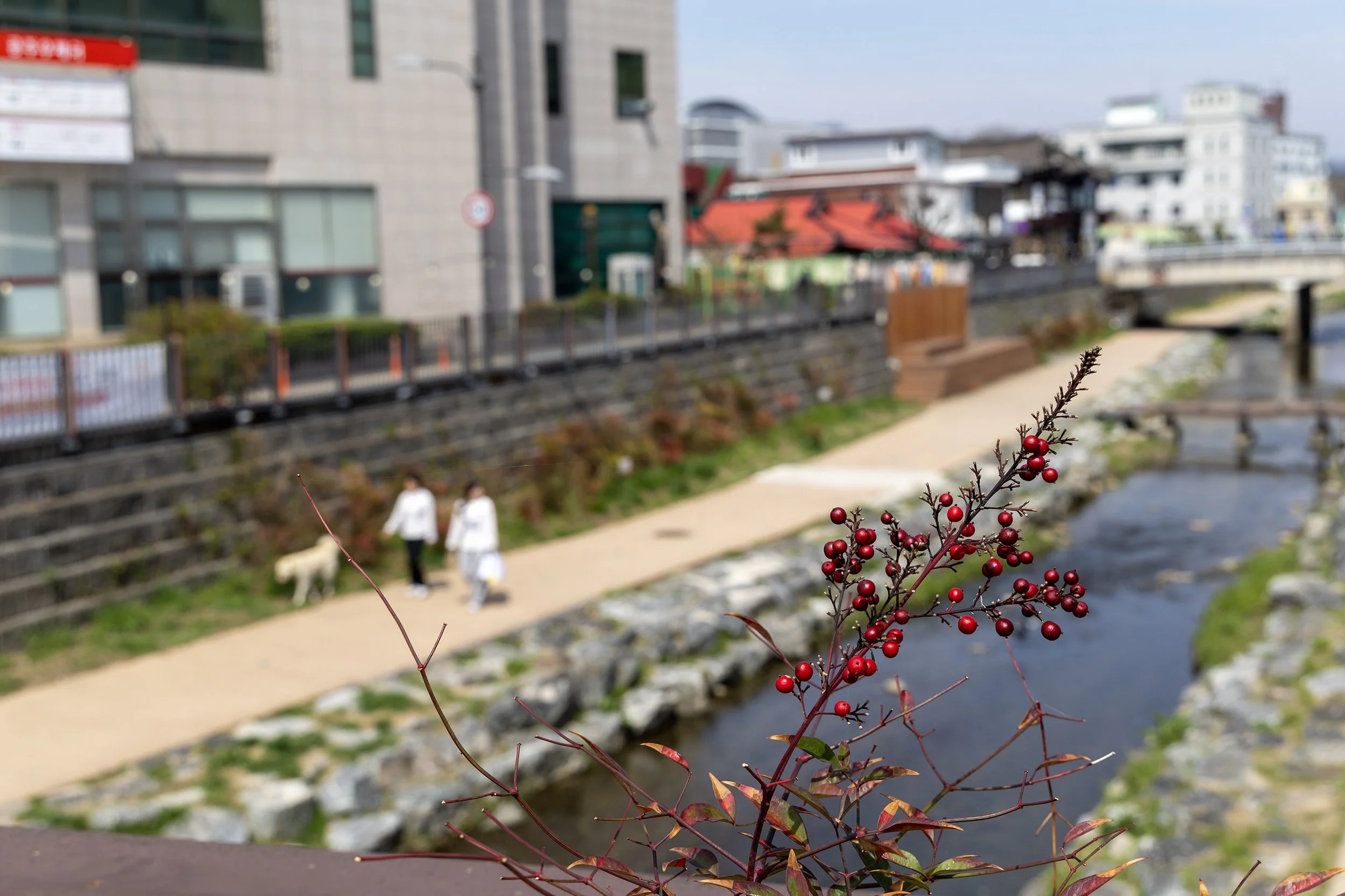 The Gongju Archive 2026 17.jpg