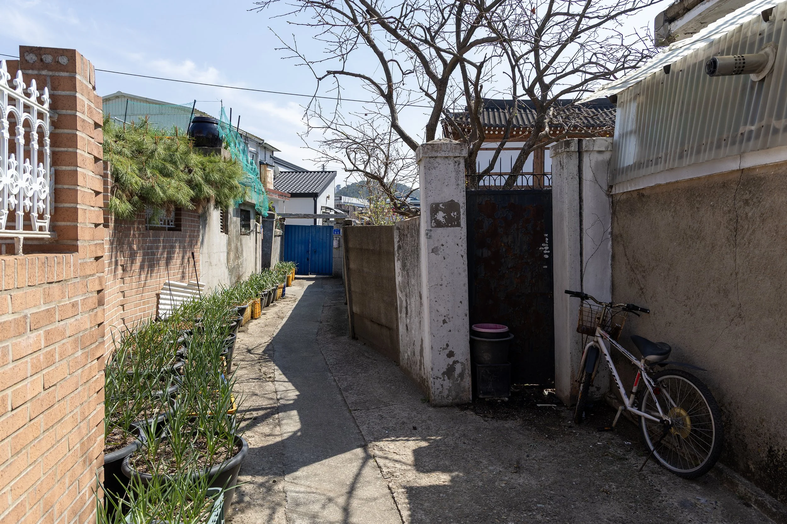 The Gongju Archive 2026 16.jpg