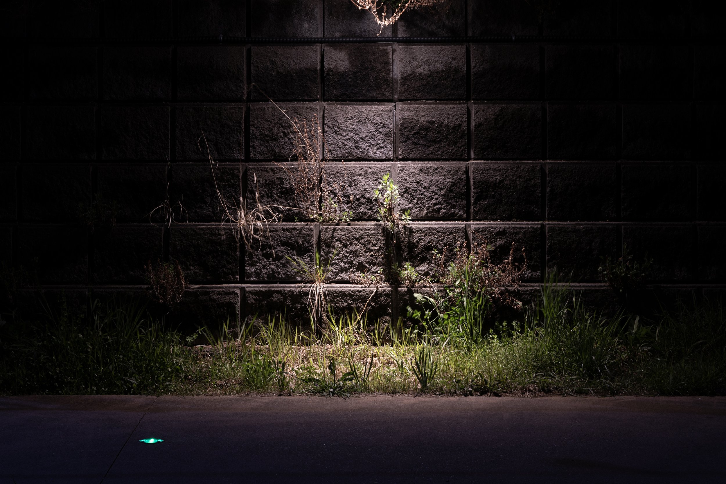 The Gongju Archive 2026 08.jpg