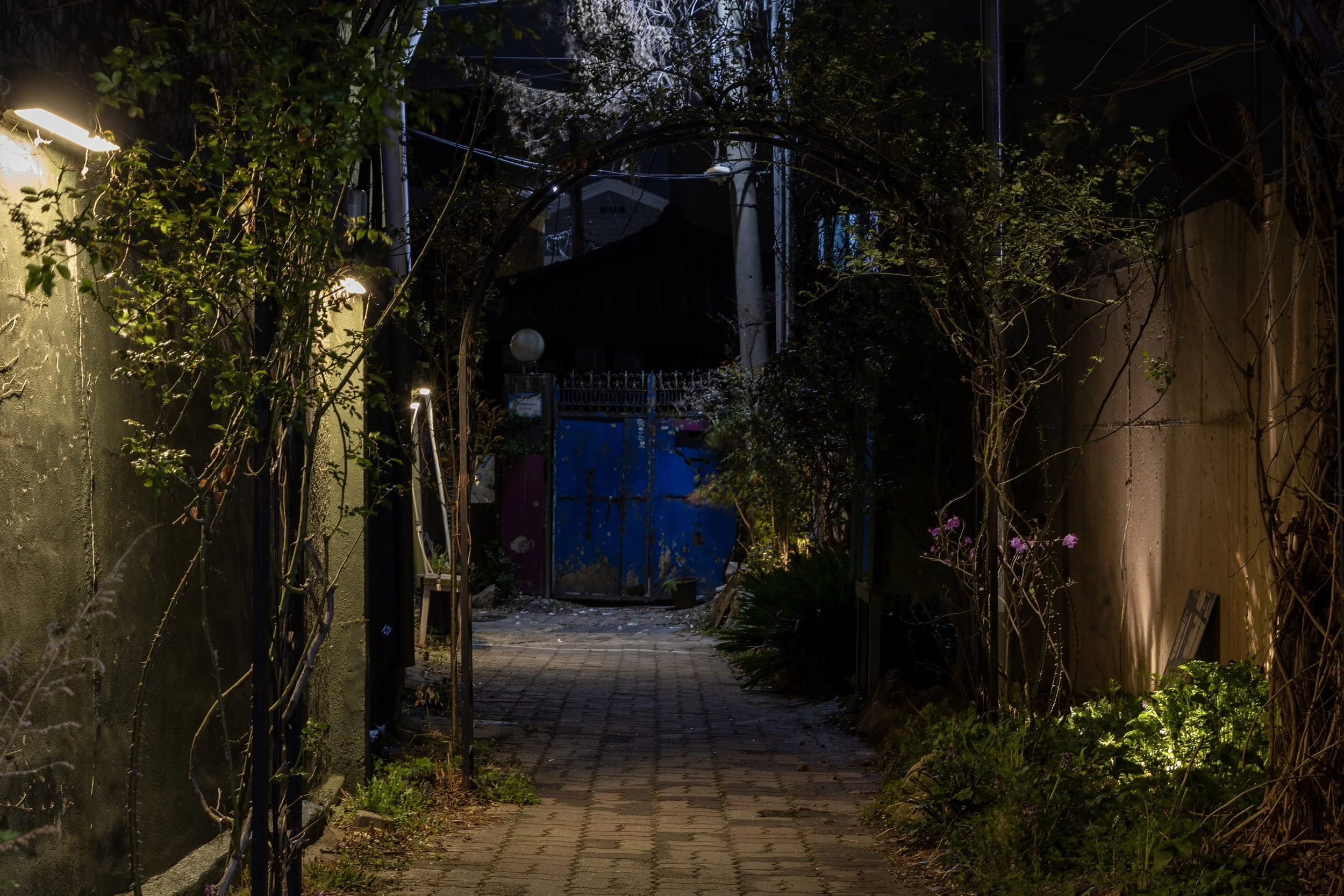 The Gongju Archive 2026 01.jpg