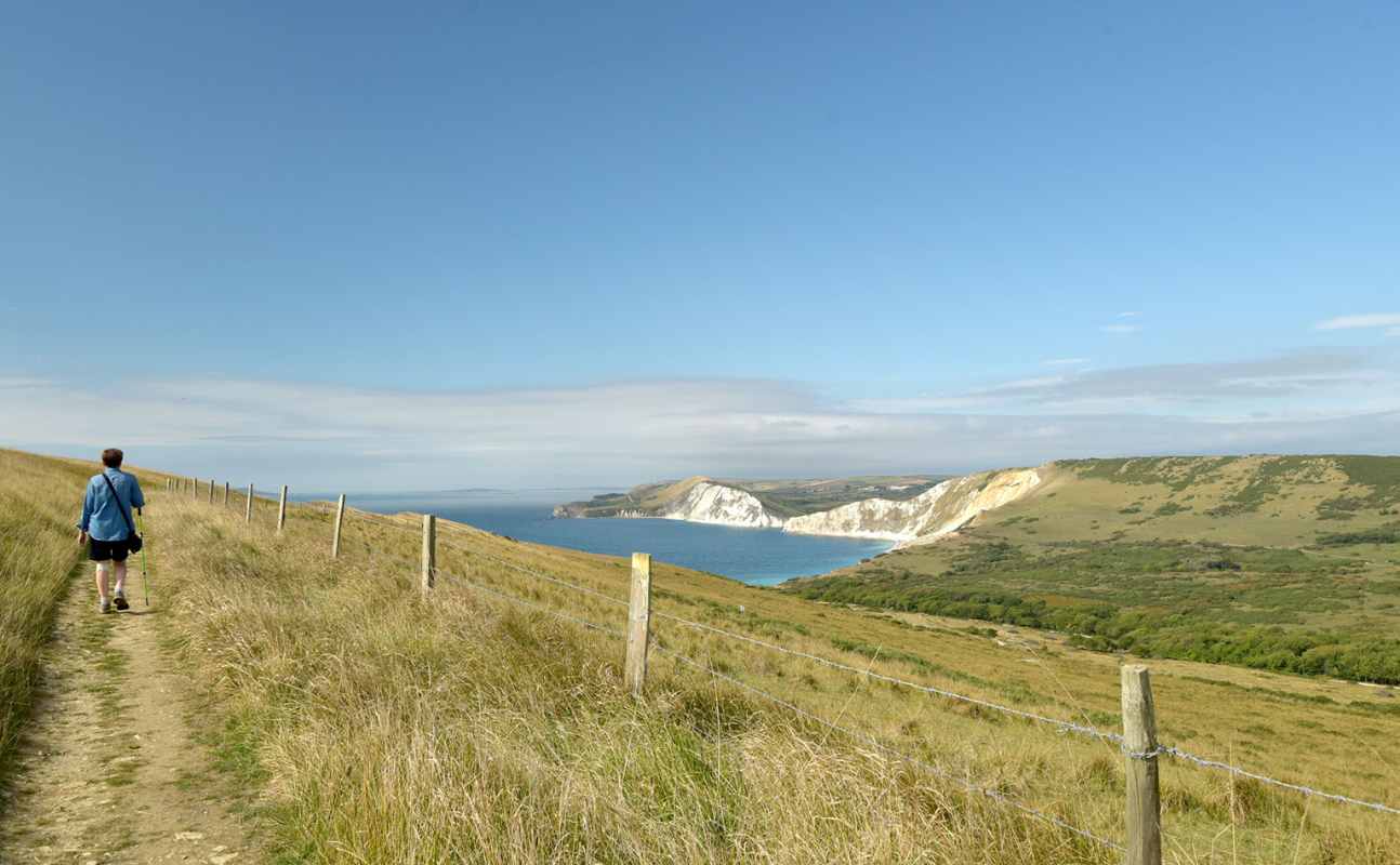 Jurassic coast 4.png