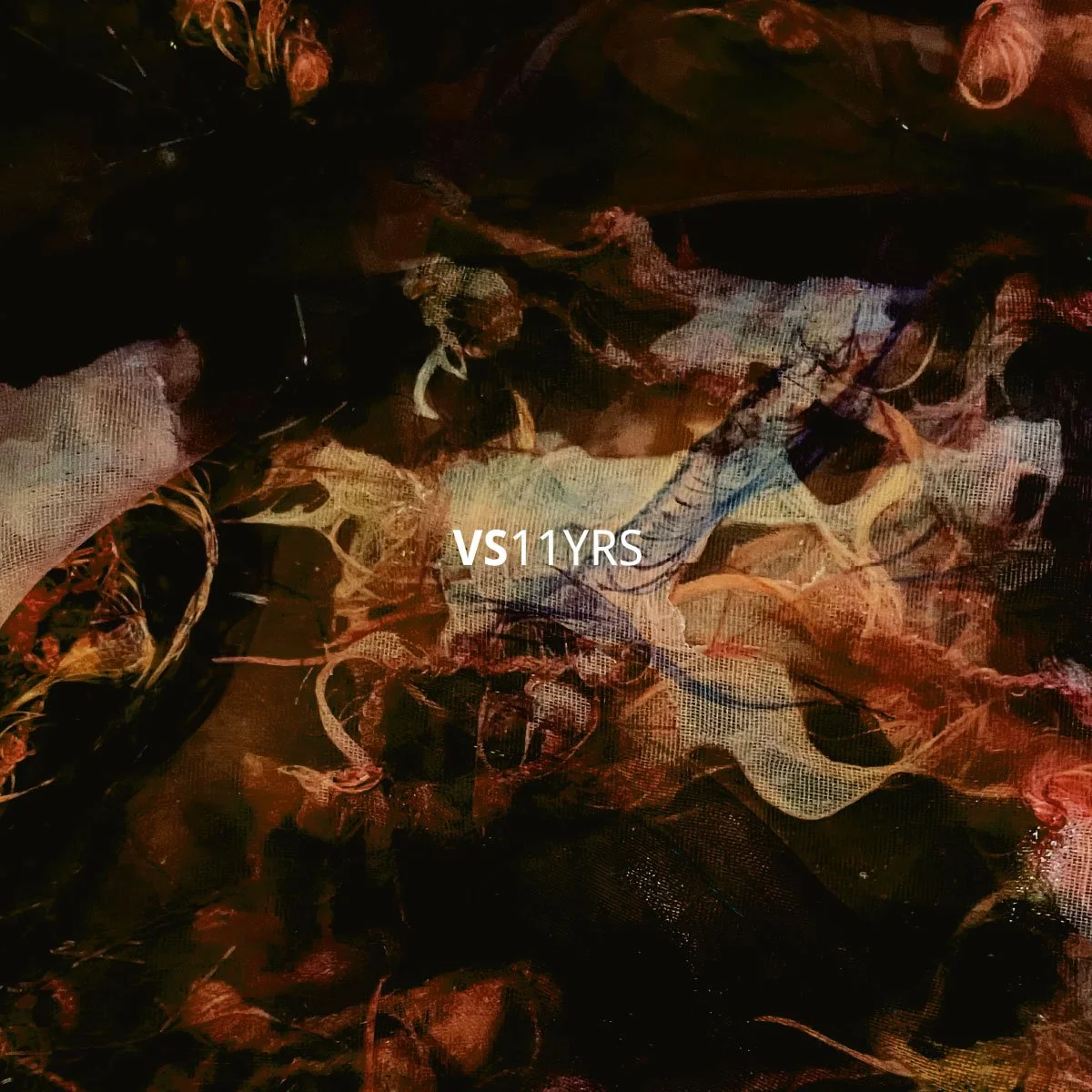 VS11YRS_Digitals-Front (1).jpg