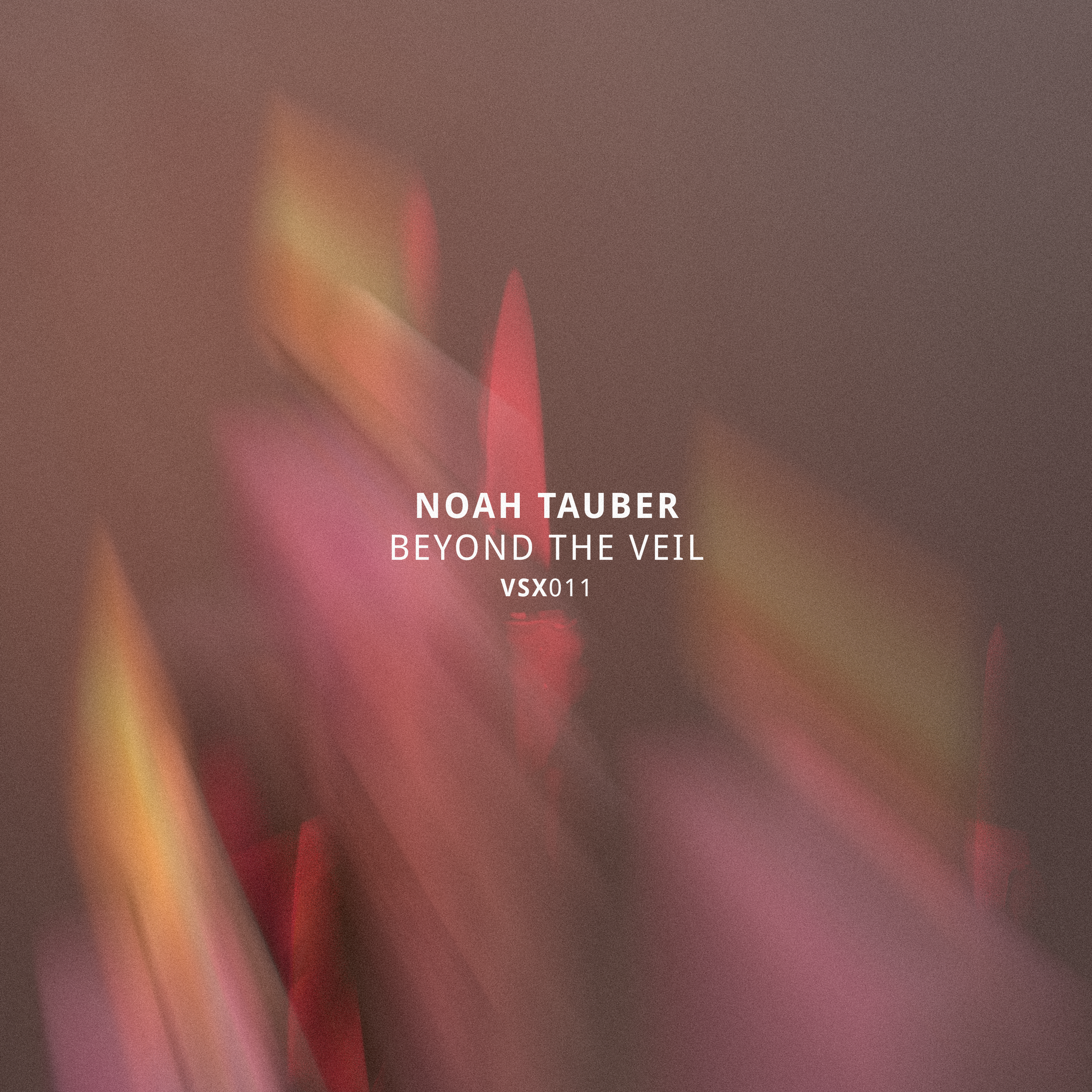 VSX011 Noah Tauber_Digitals_3000px final.png