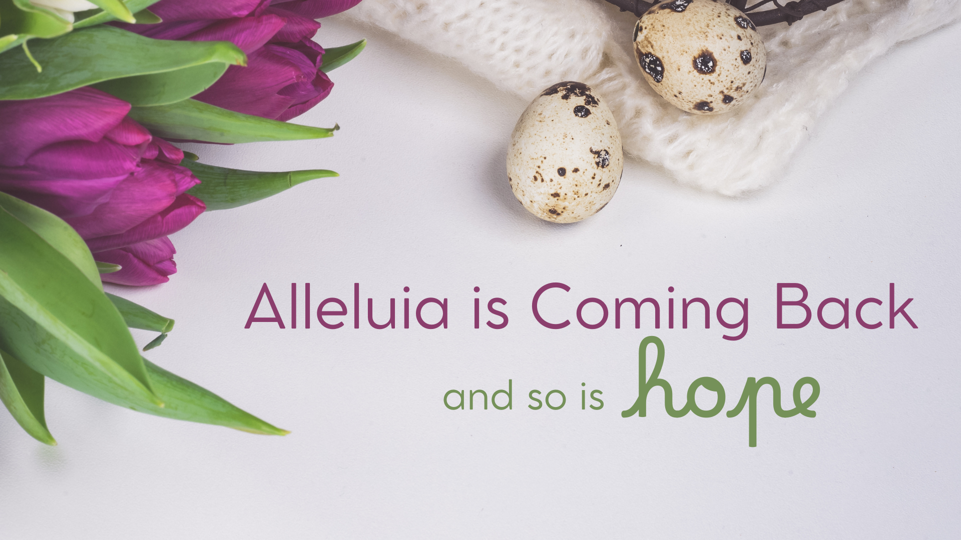 Purple tuplips on white background with words Alleluia is Coming Back