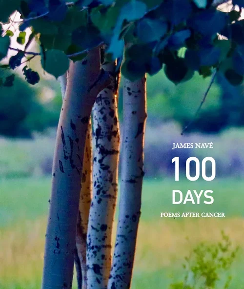 100 Days cover.webp