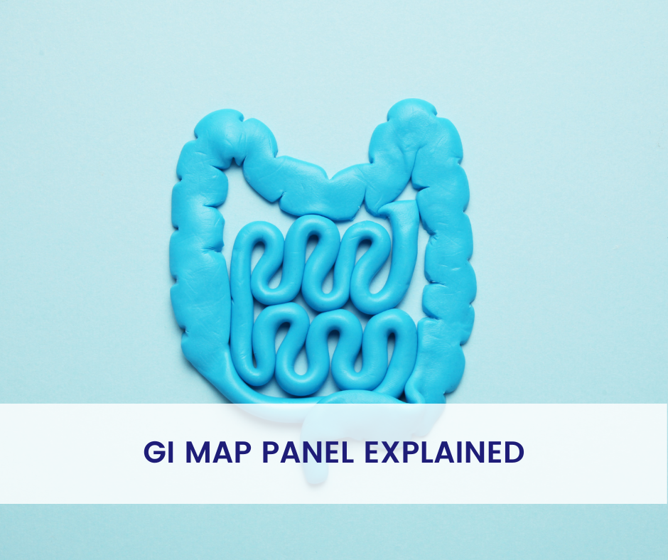 GI Map Panel Explained