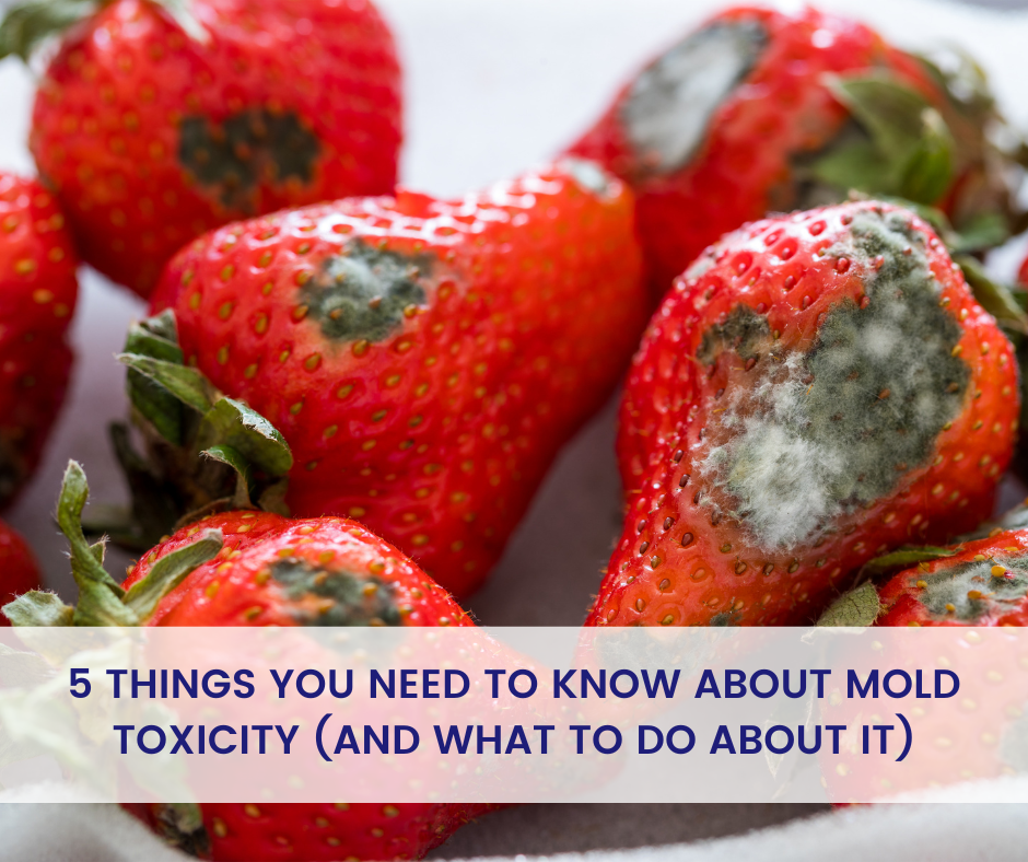5 Things You Need to Know About Mold Toxicity (and What to Do About It)