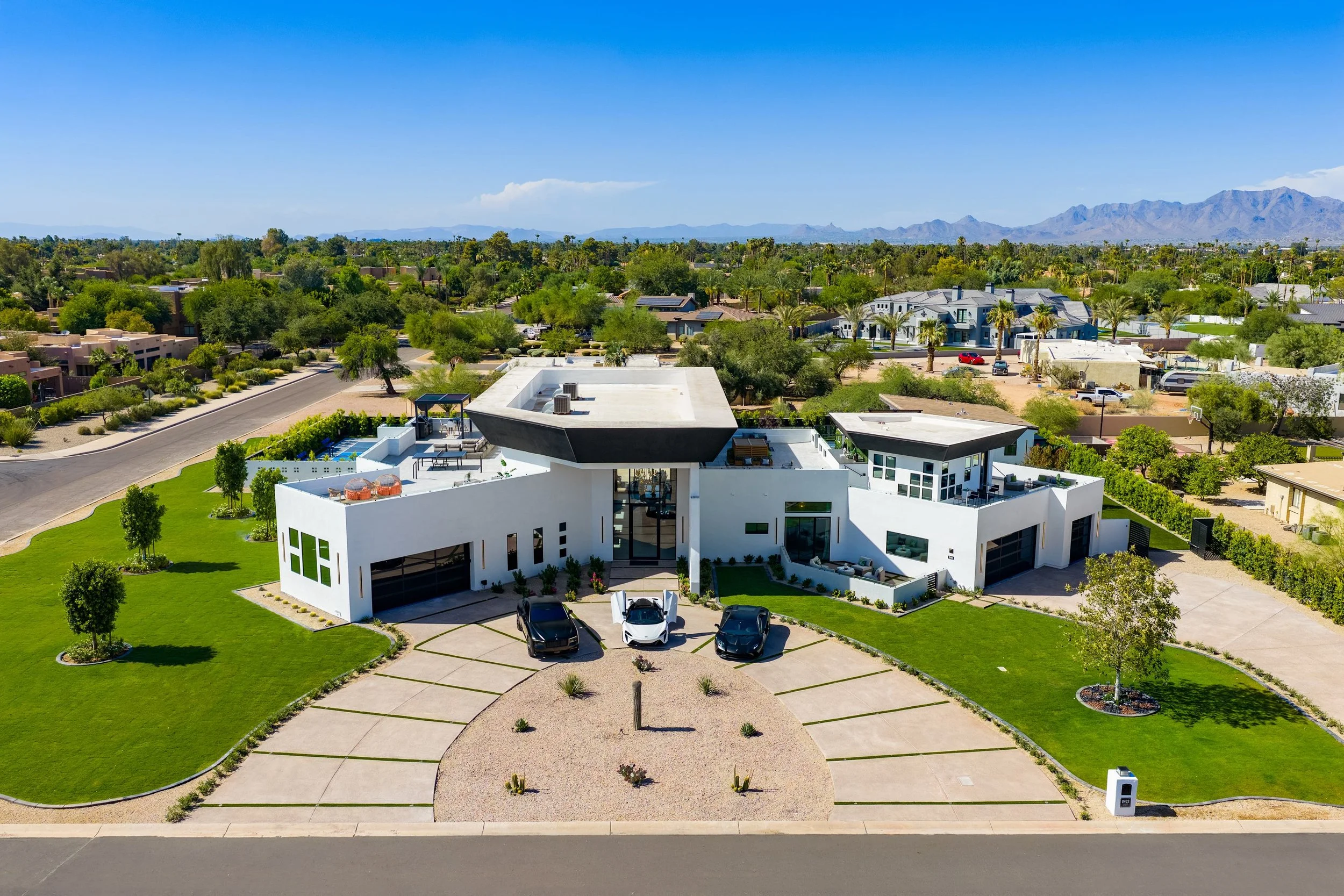 138-Cactus Wren Aerial.jpg
