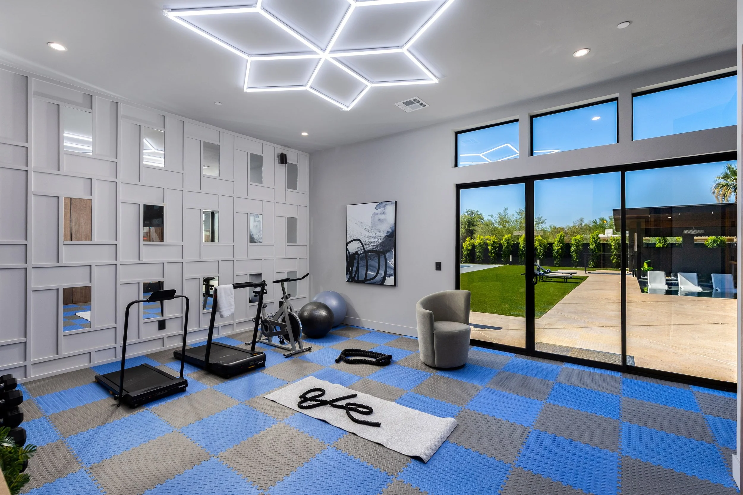 72-Cactus Wren Gym.jpg
